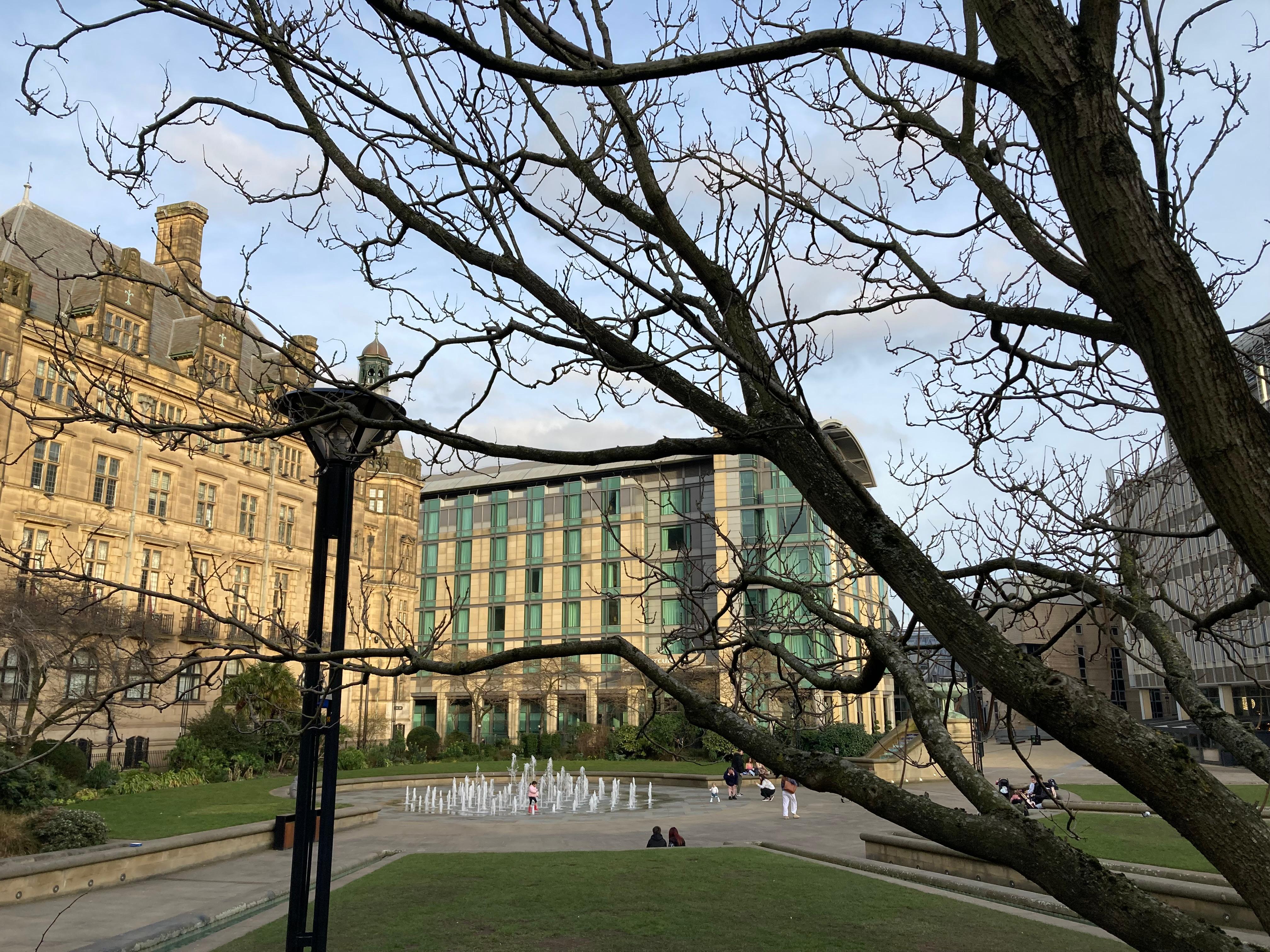 Peace Garden & City Hall