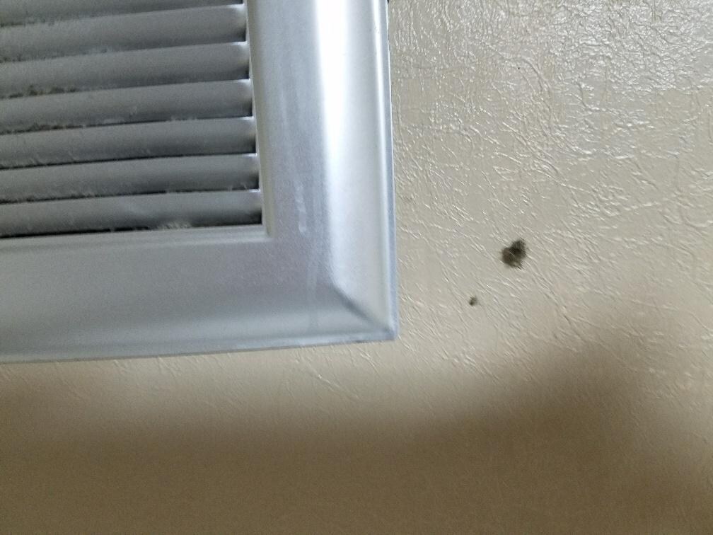 inside showerhead