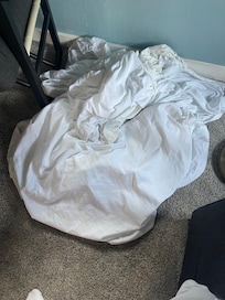 We spent $150 on purchasing blankets