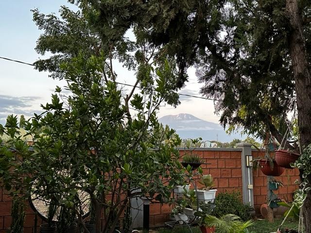 Mt. Kilimanjaro from the front porch