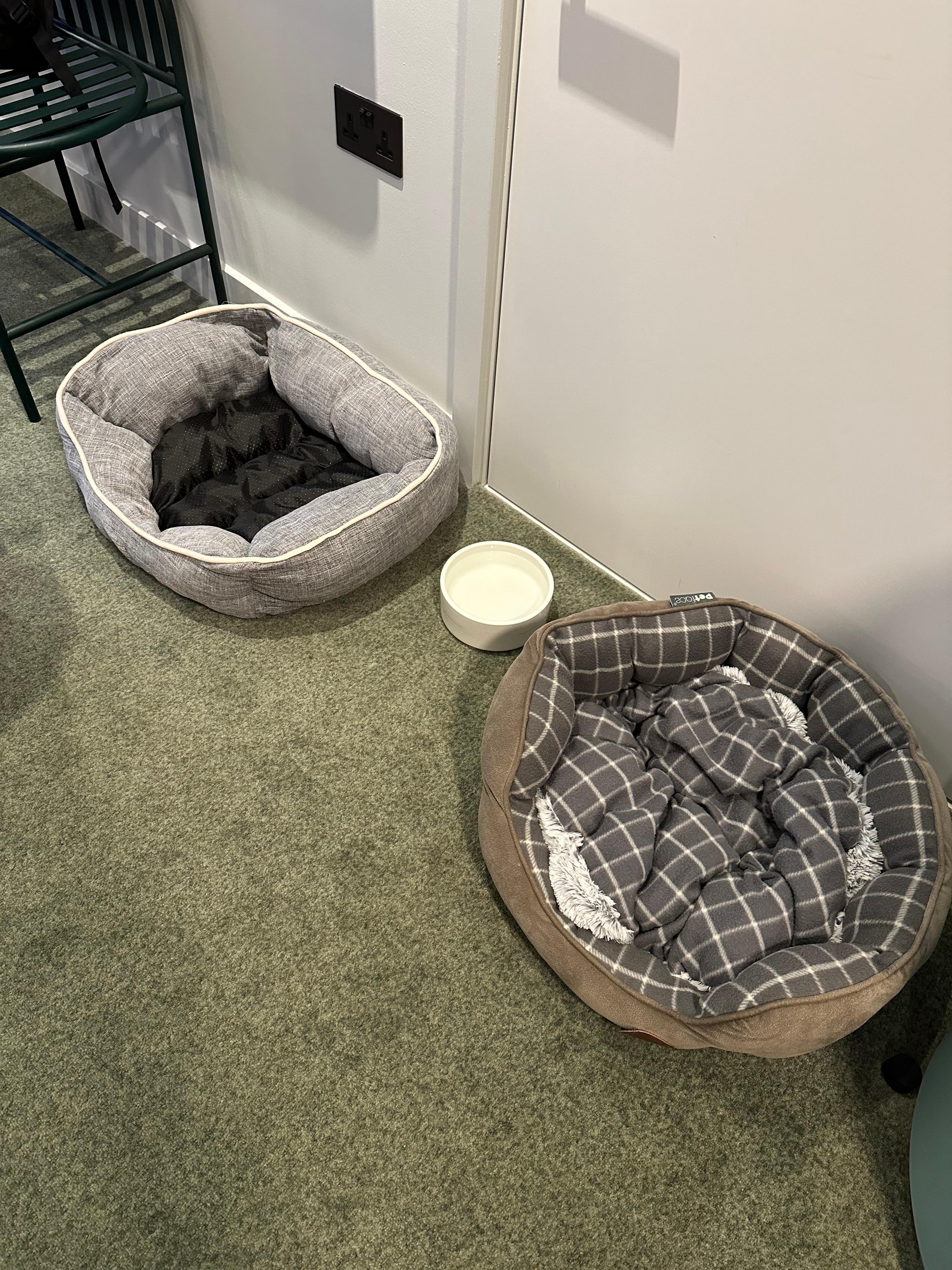 Dog beds provided 