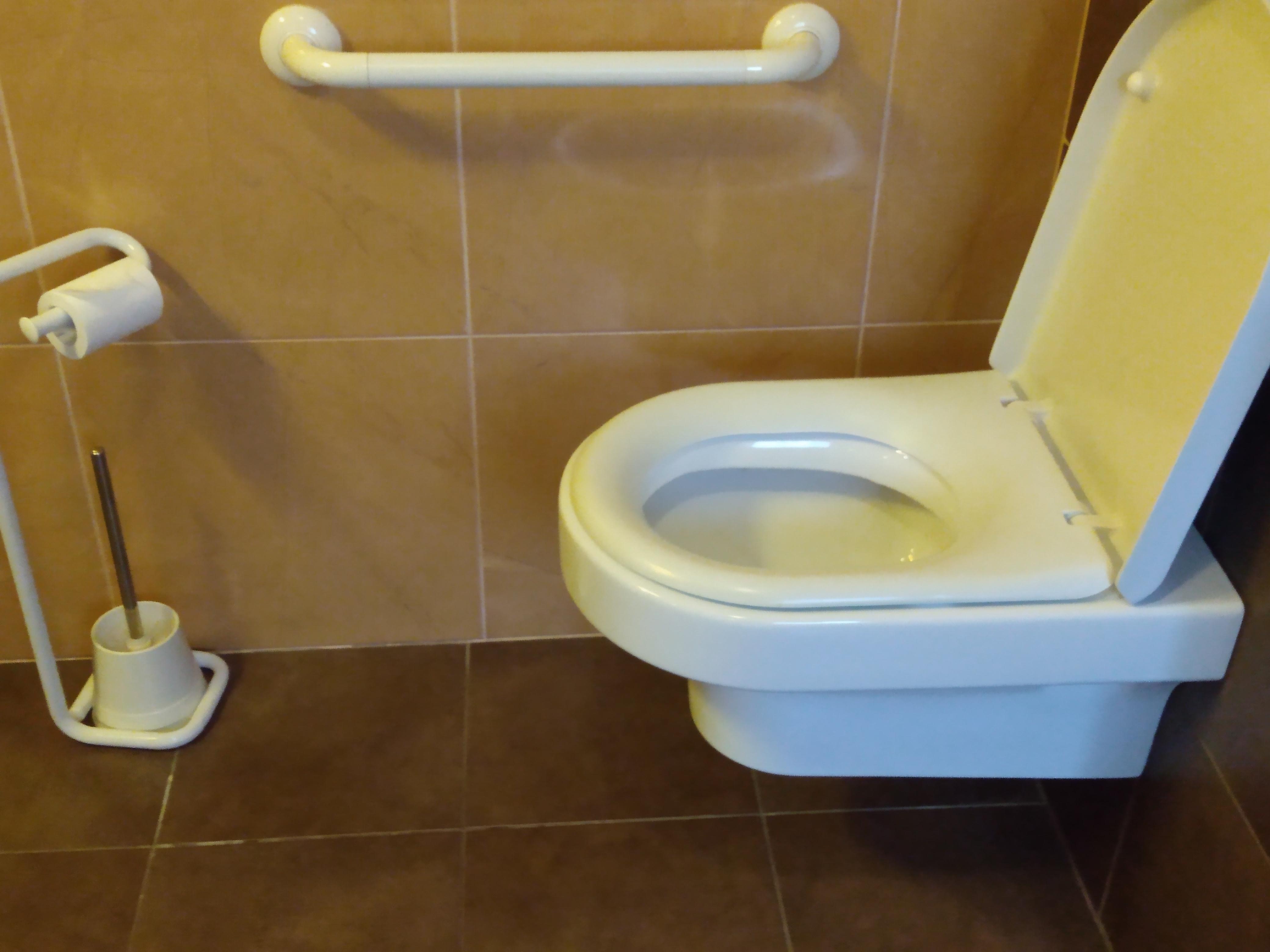 Handicapped commode higher than normal, only towel rack next to toilet???