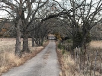 This is the road to the cabin. Very pretty and peaceful.