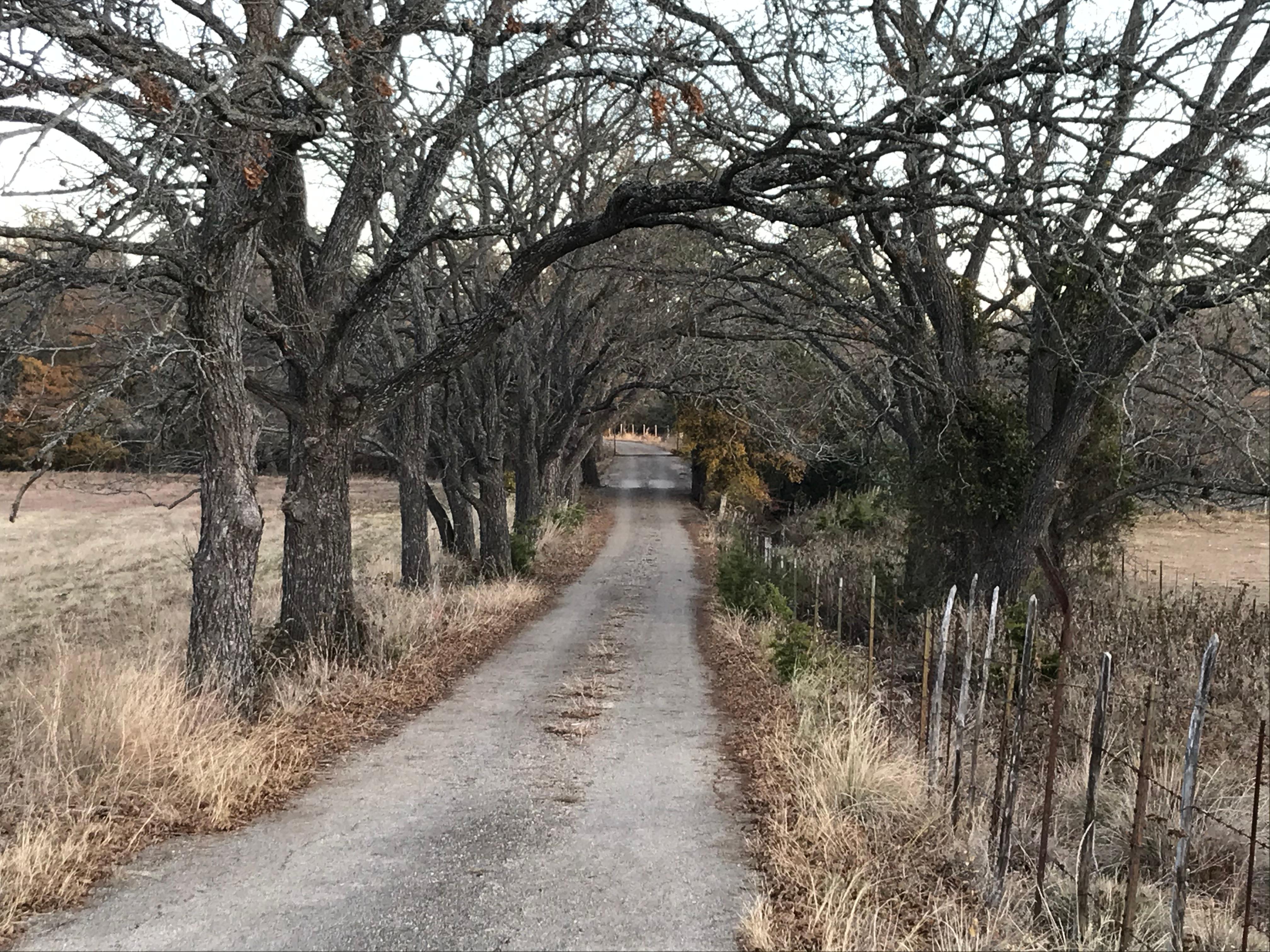 This is the road to the cabin.  Very pretty and peaceful. 