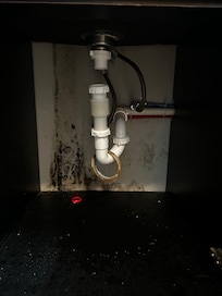Sink not connected and black mold