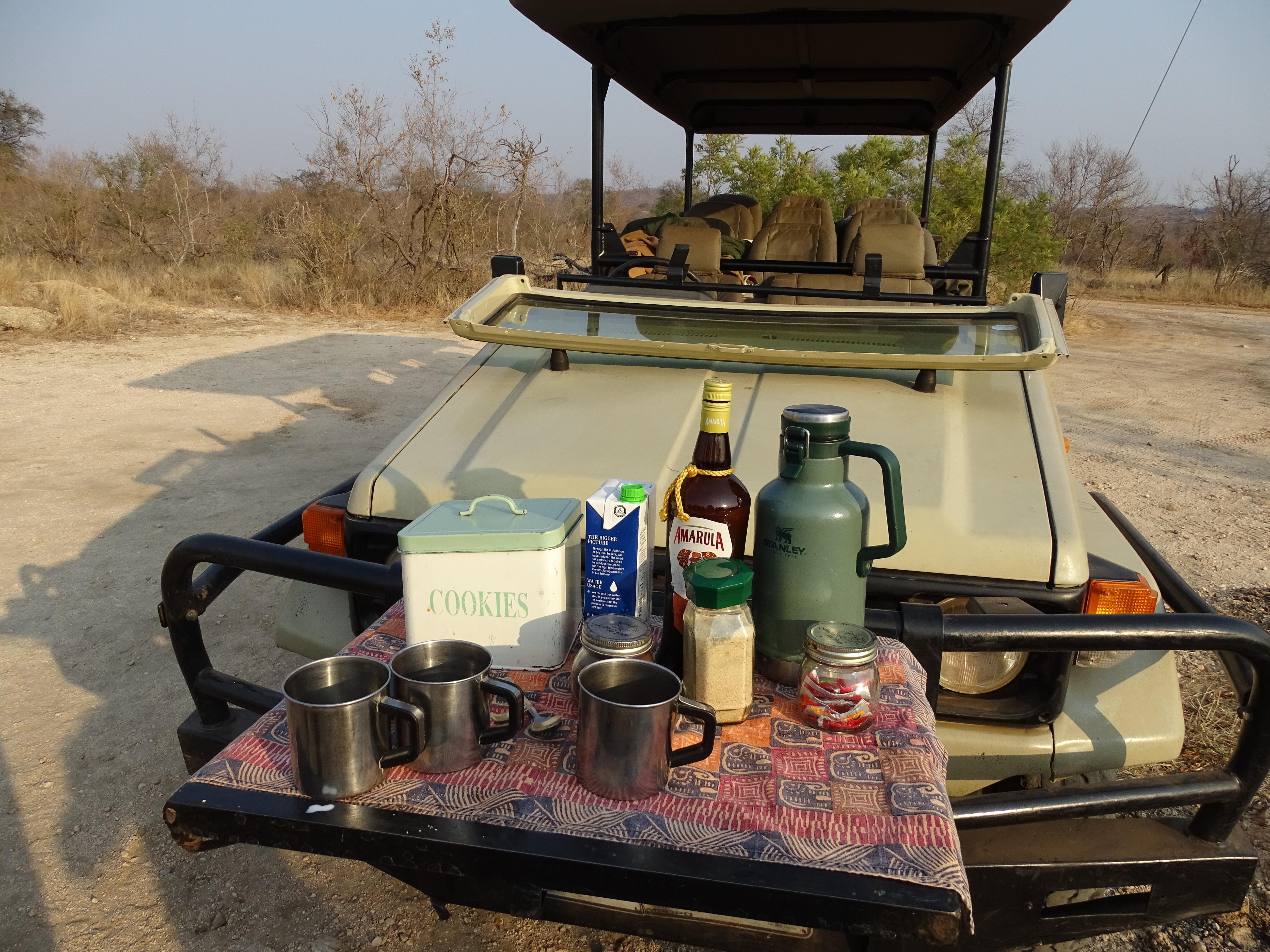 Pause café pendant un morning drive à 50 m des éléphants