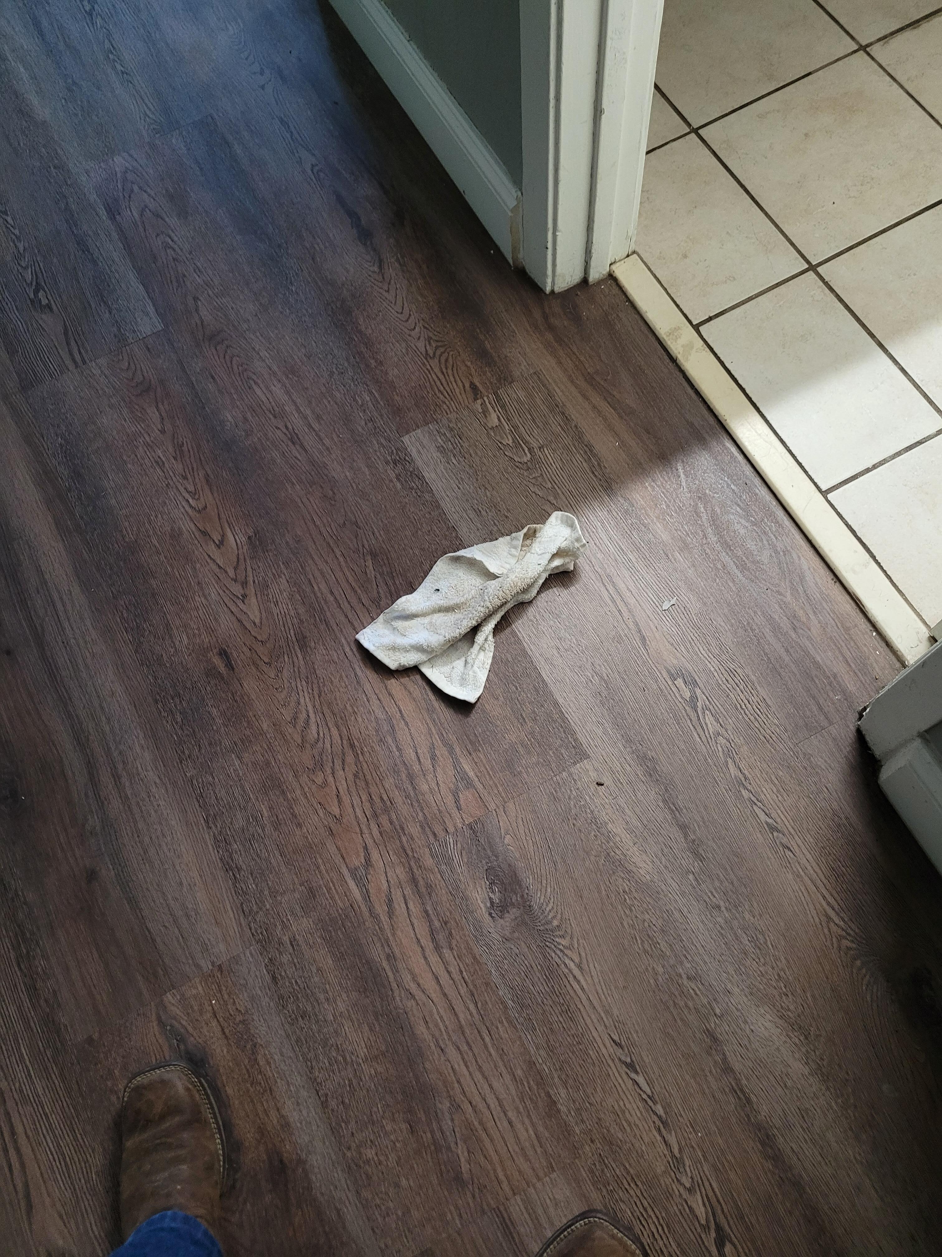 Dirty wash cloth on floor.