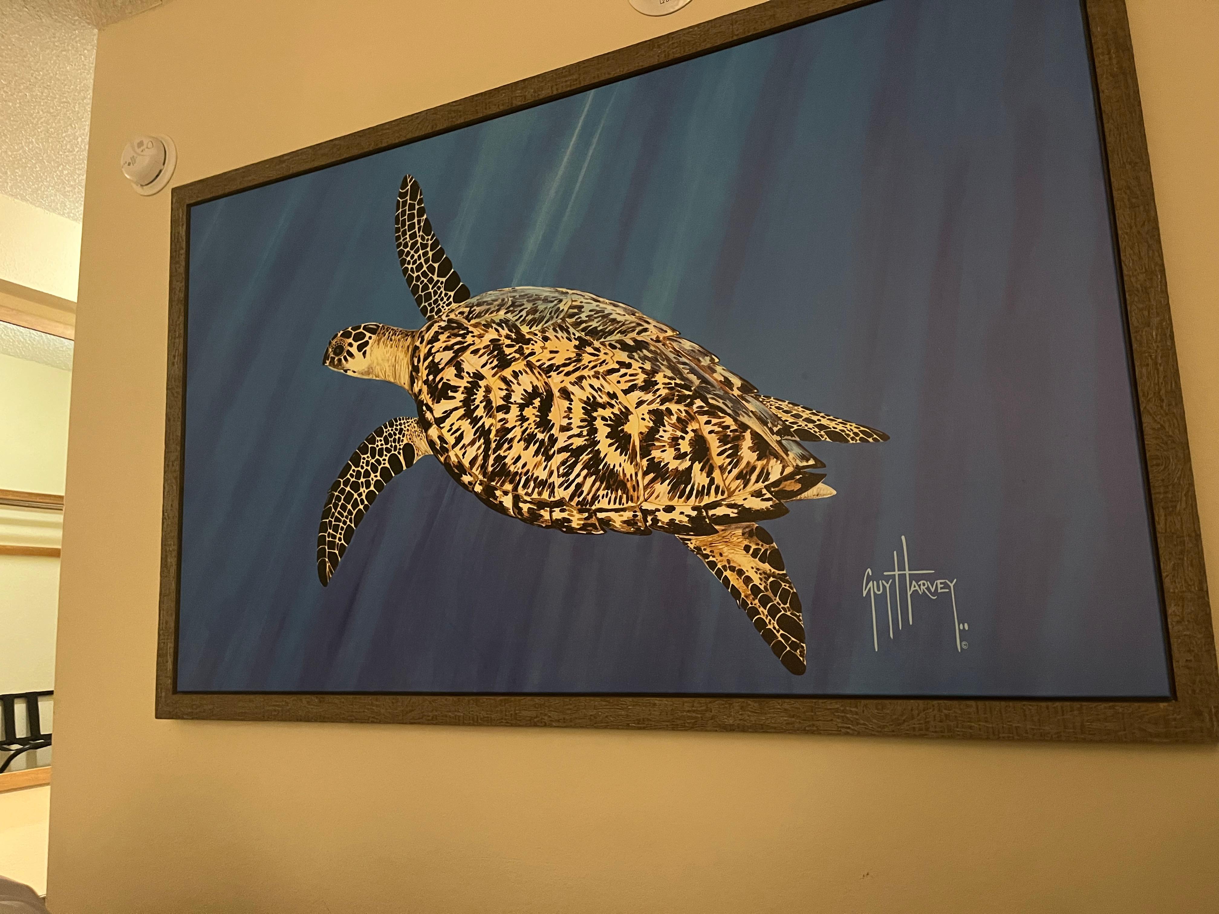 Beautiful Guy Harvey art in the room!!!