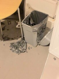 Rat party over night