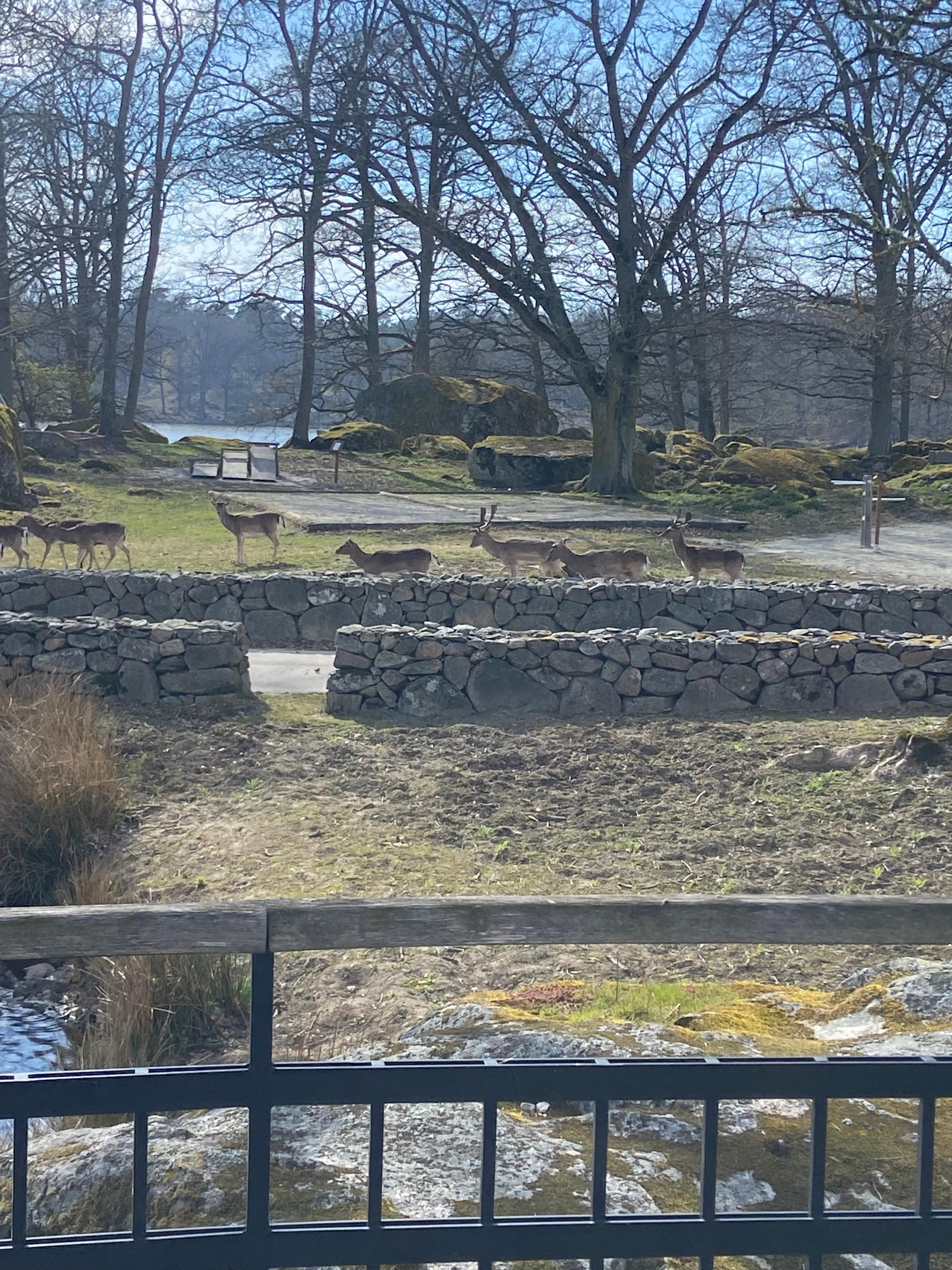 Från vår uteplats