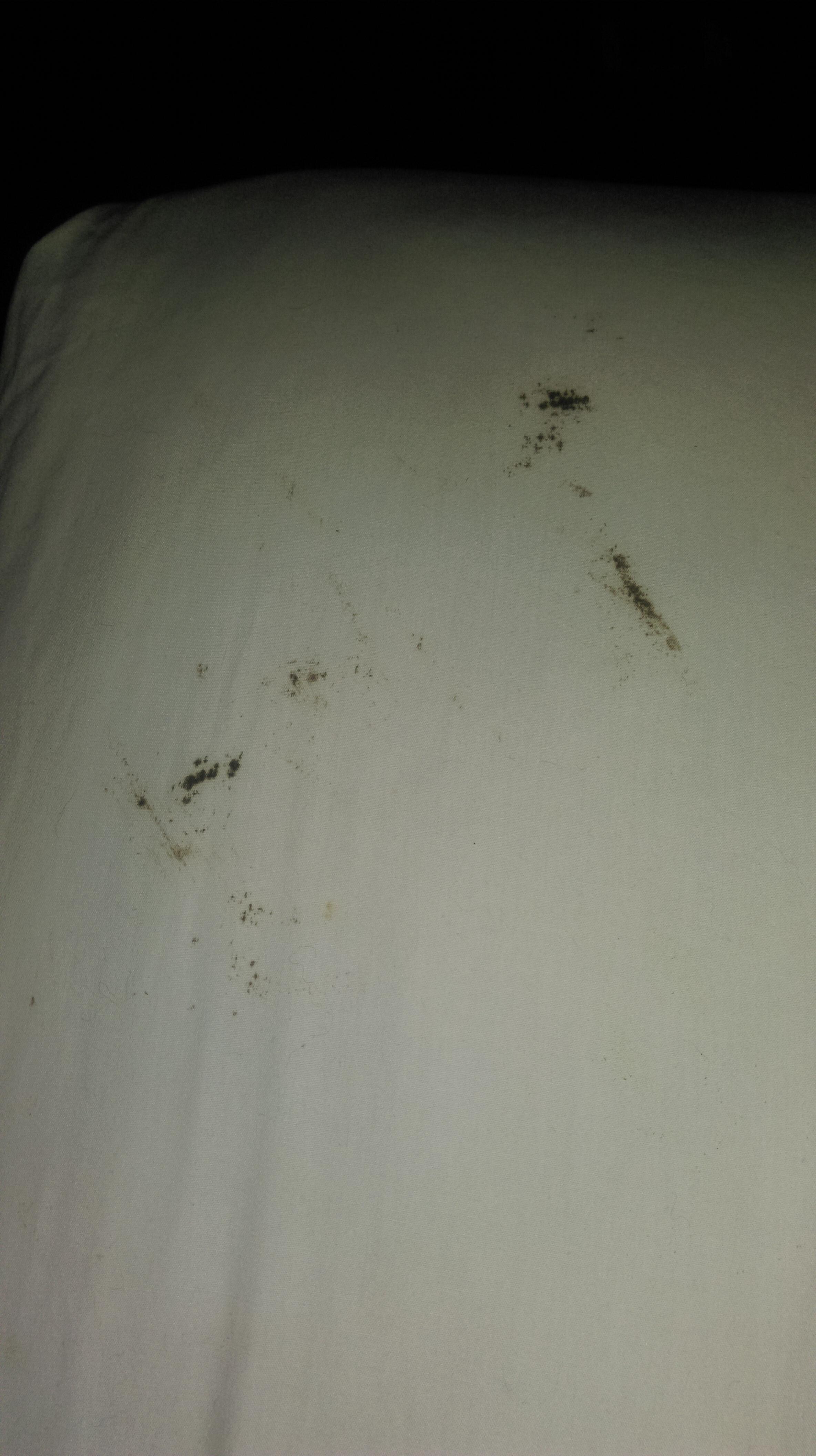 Some of her bug bites. They refused to issue a refund.