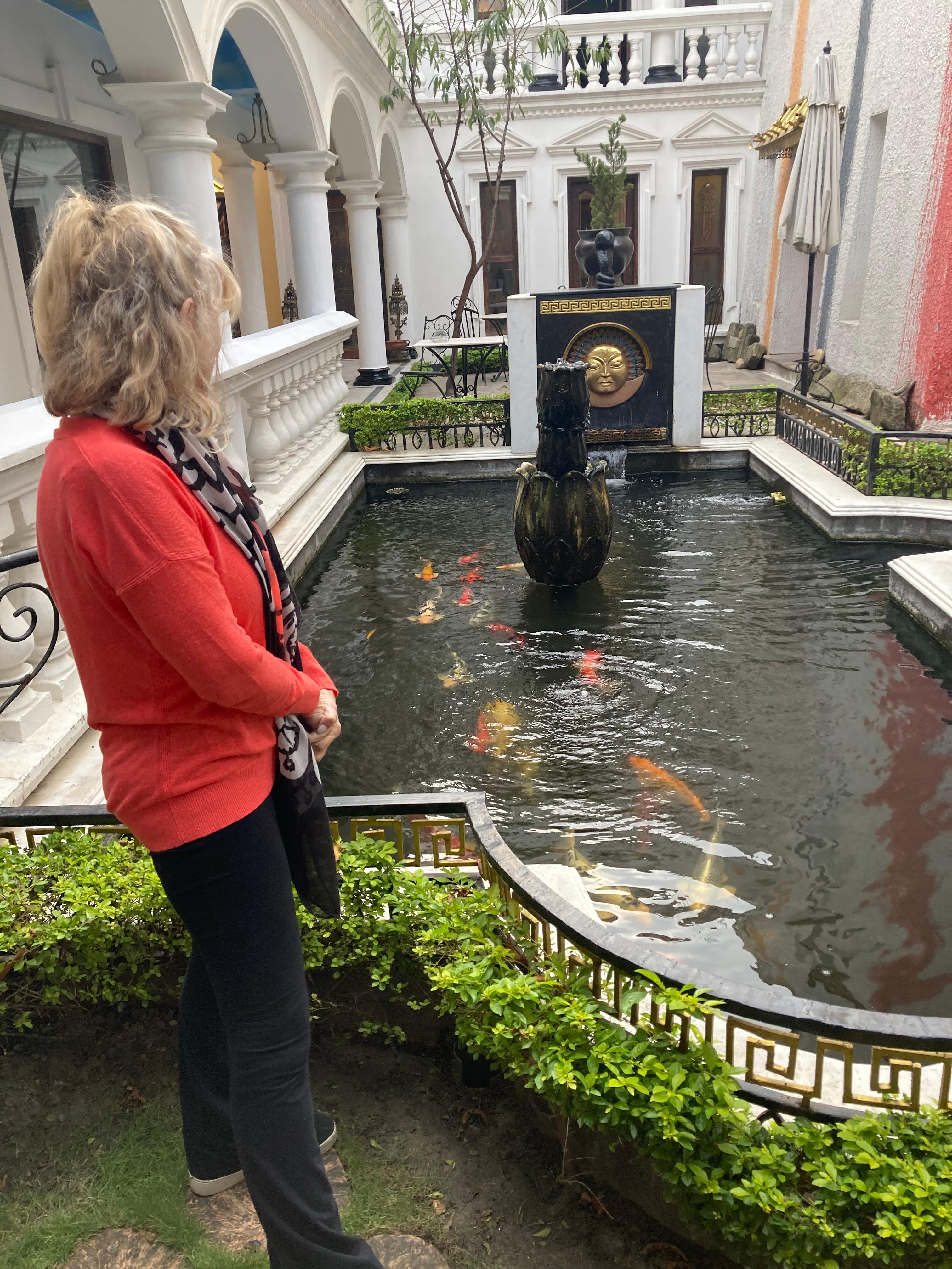 Koi pond outside the reception area