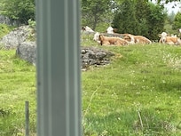 Morgonvy från rummet
