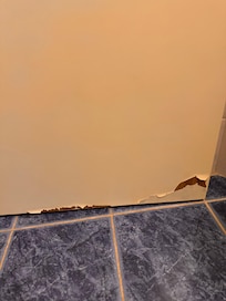 Bathroom door