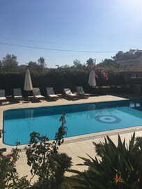 The pool