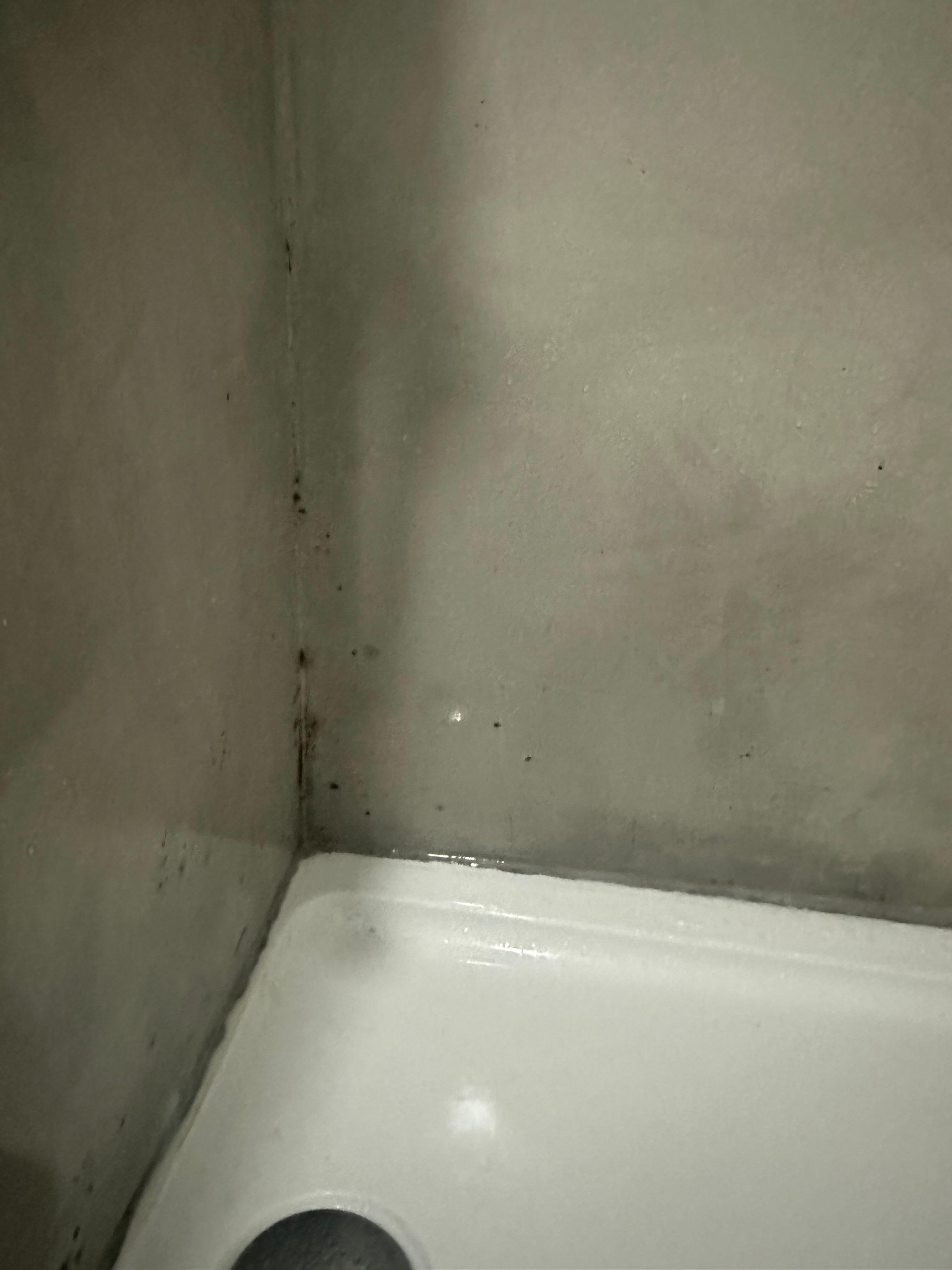 Shower mold