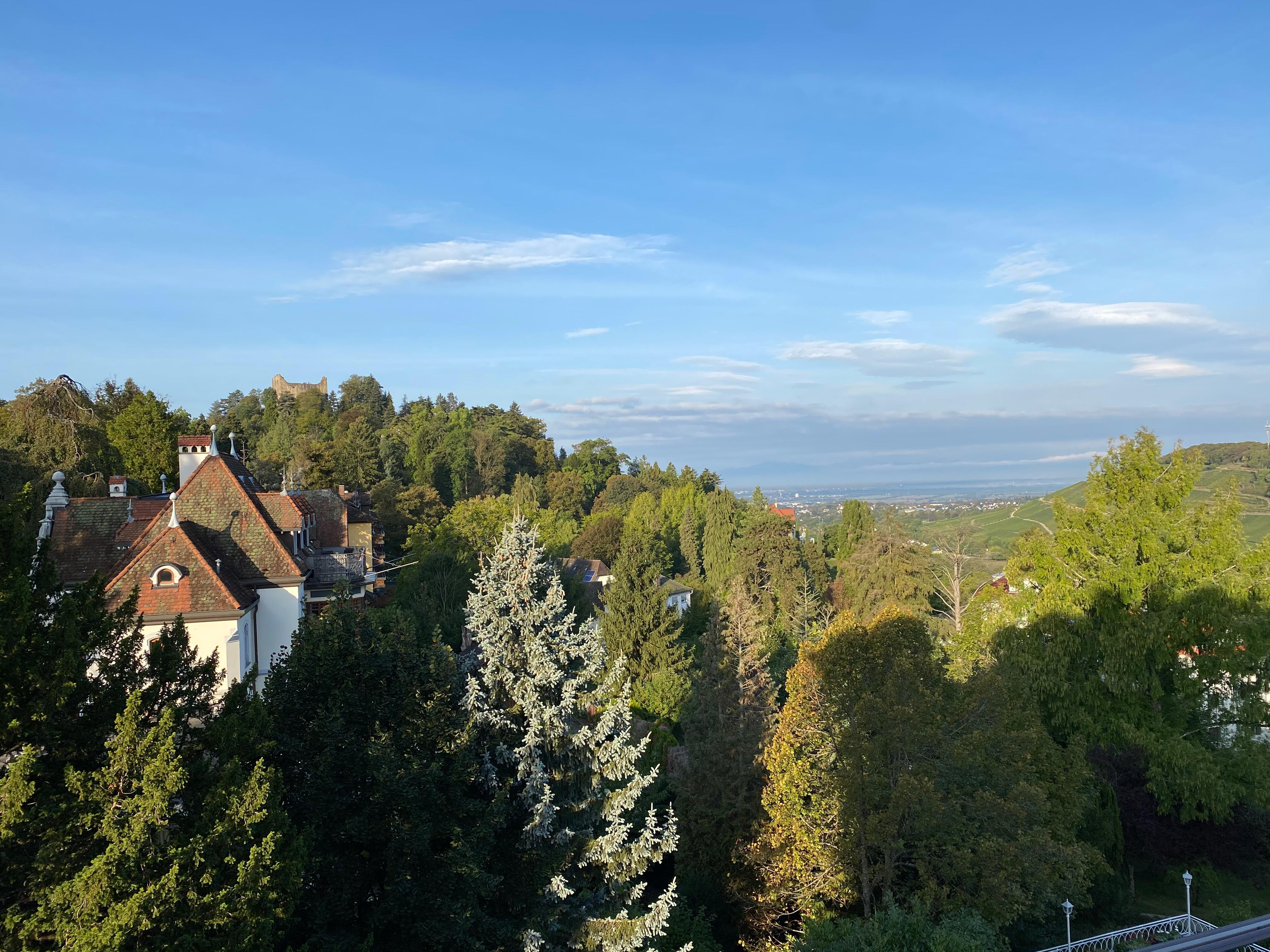 Une autre, au loin, les Vosges 