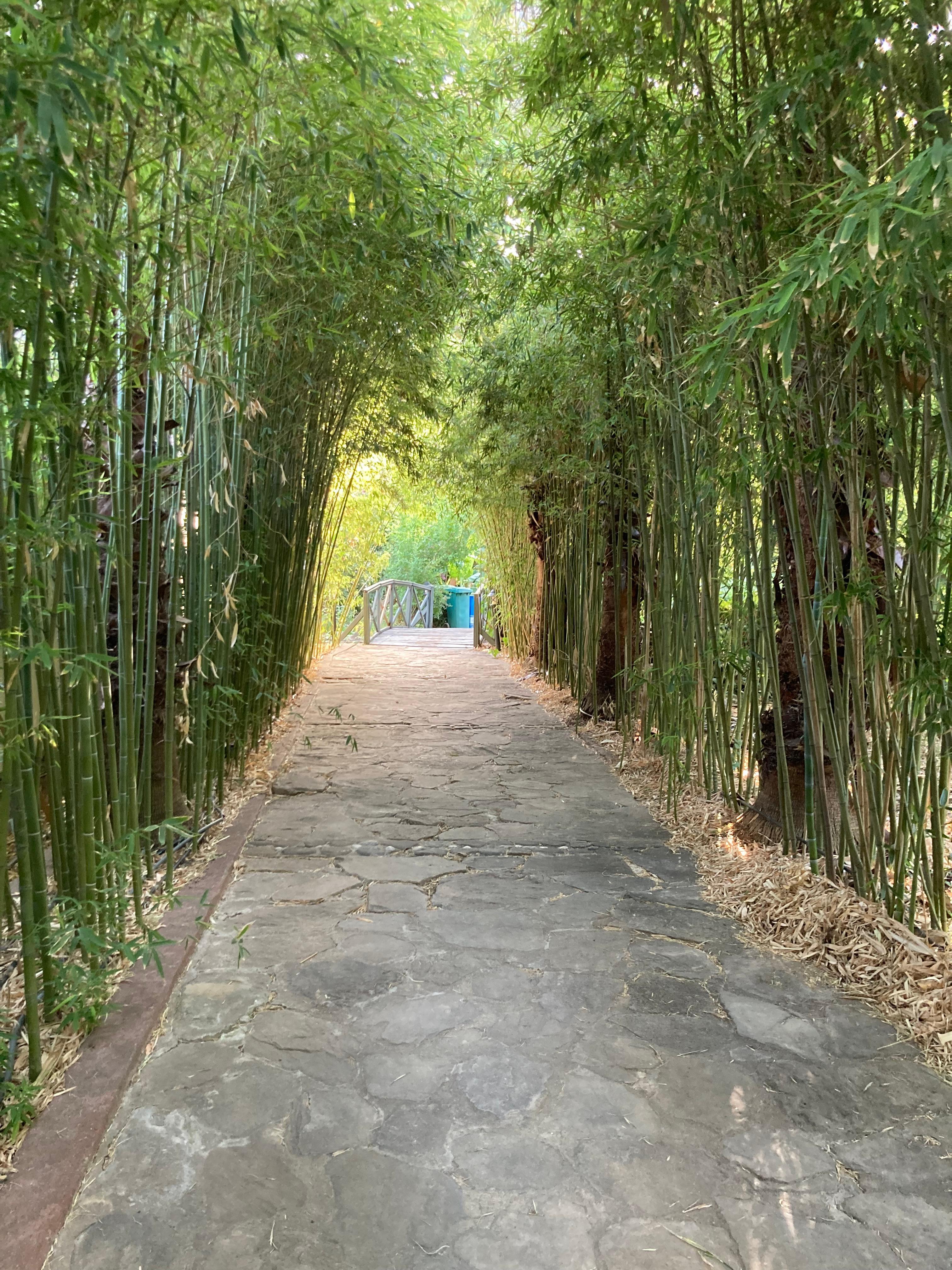 Path to the beach from Pinea 