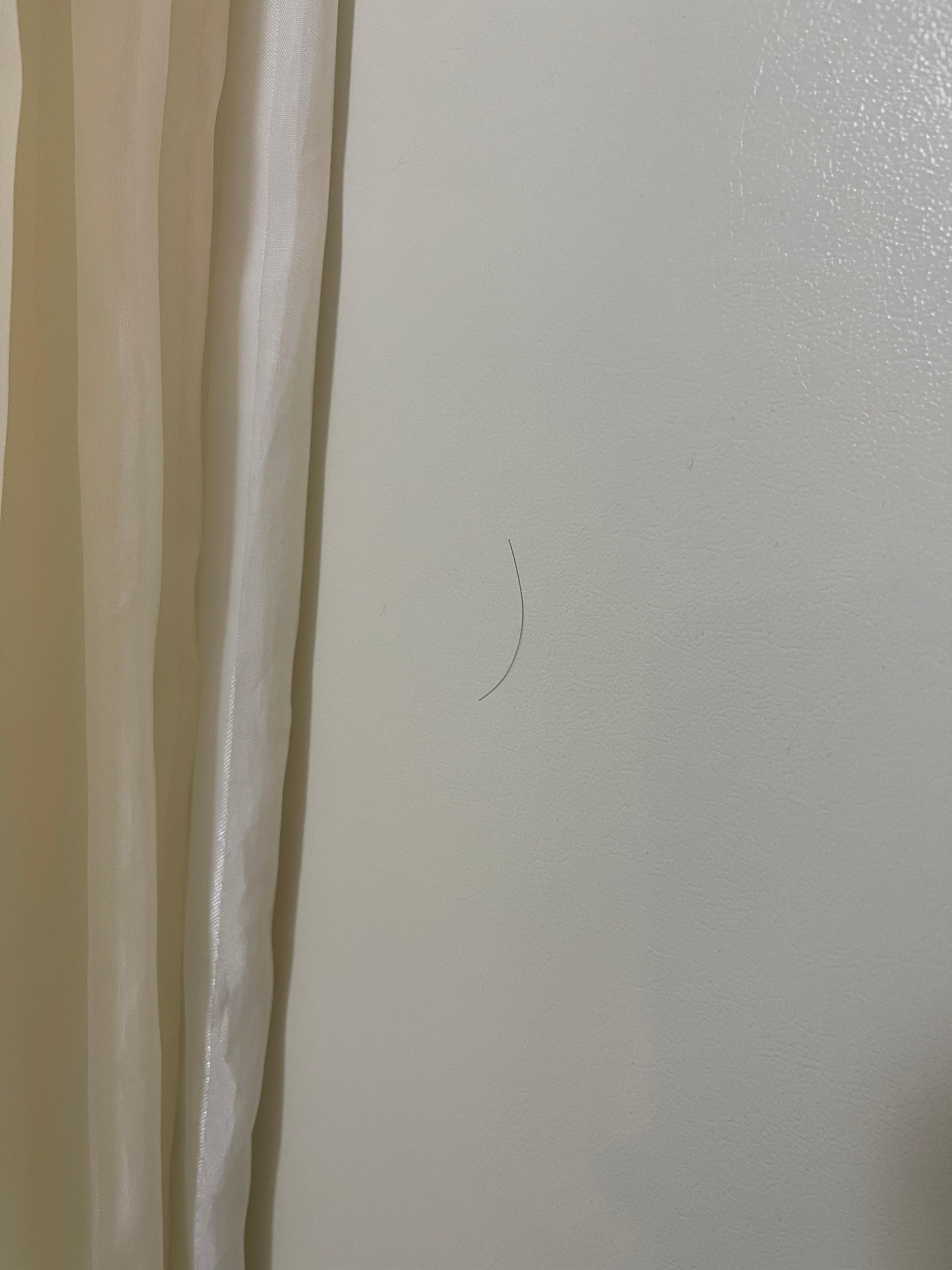 衛生紙加上方毛～到我隔日退房，它都還黏在牆上🙄
