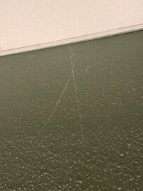 Toiles d’araignée