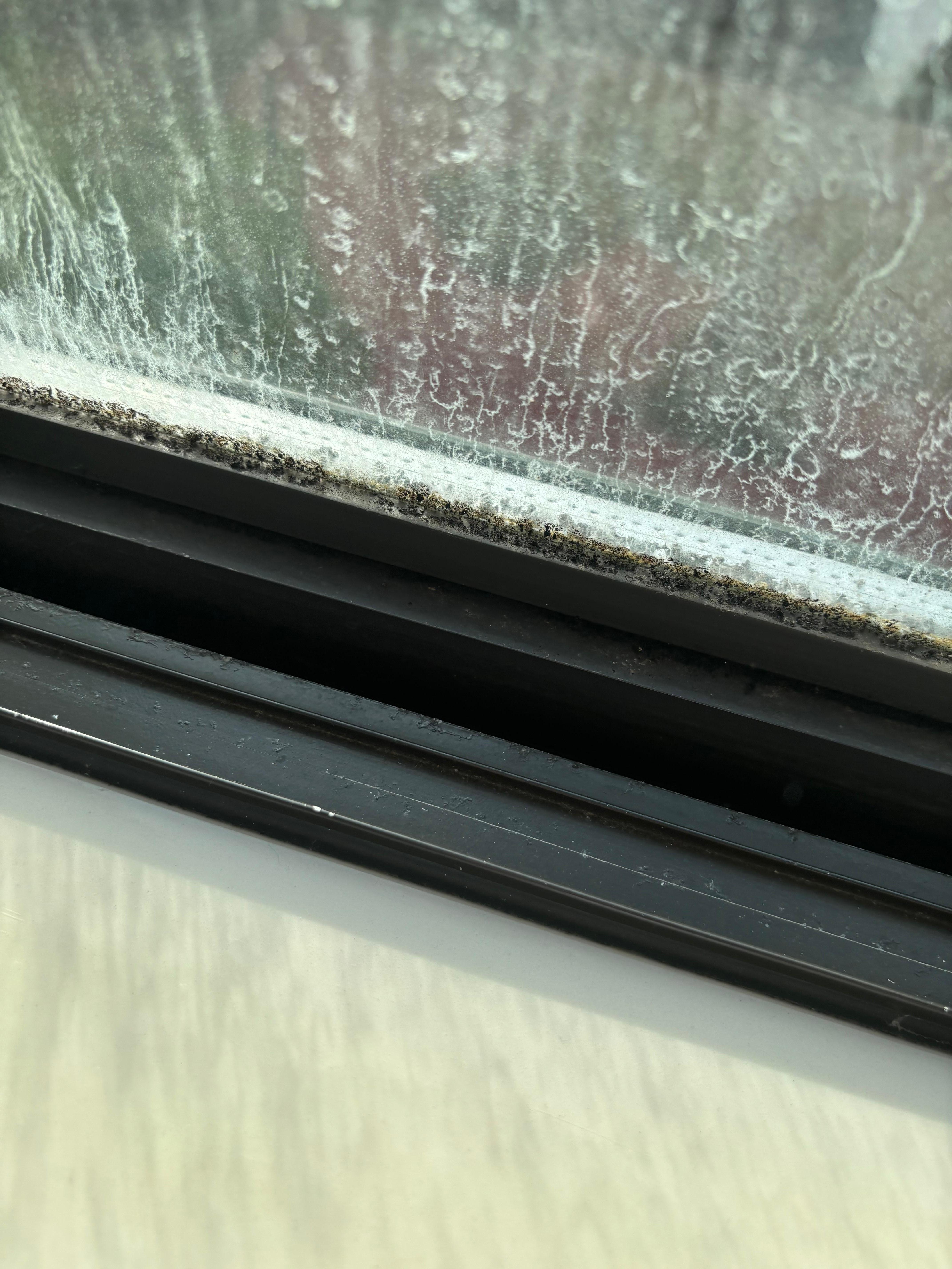 Mold on the window sill 