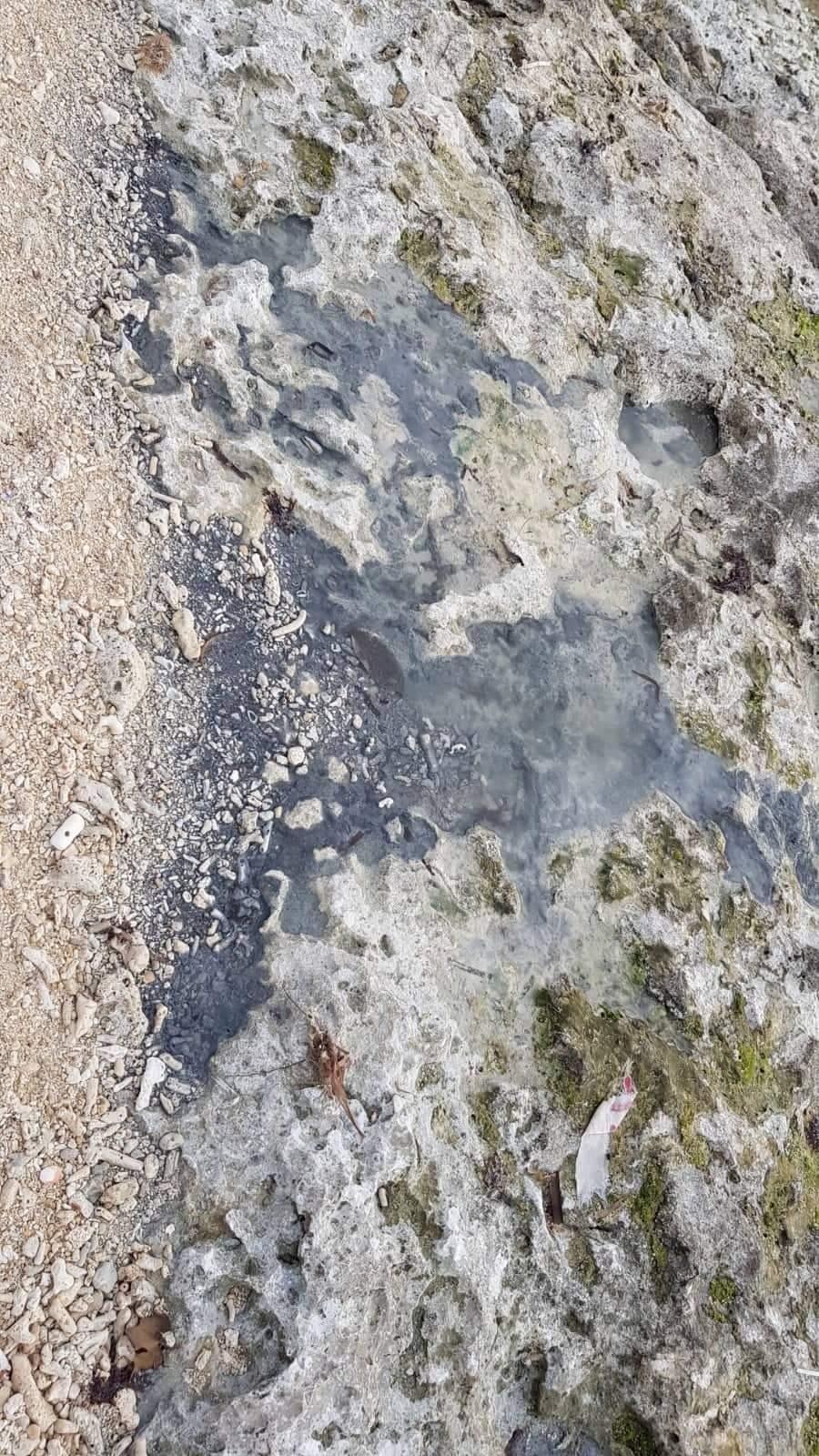 Waste water drains into the beach