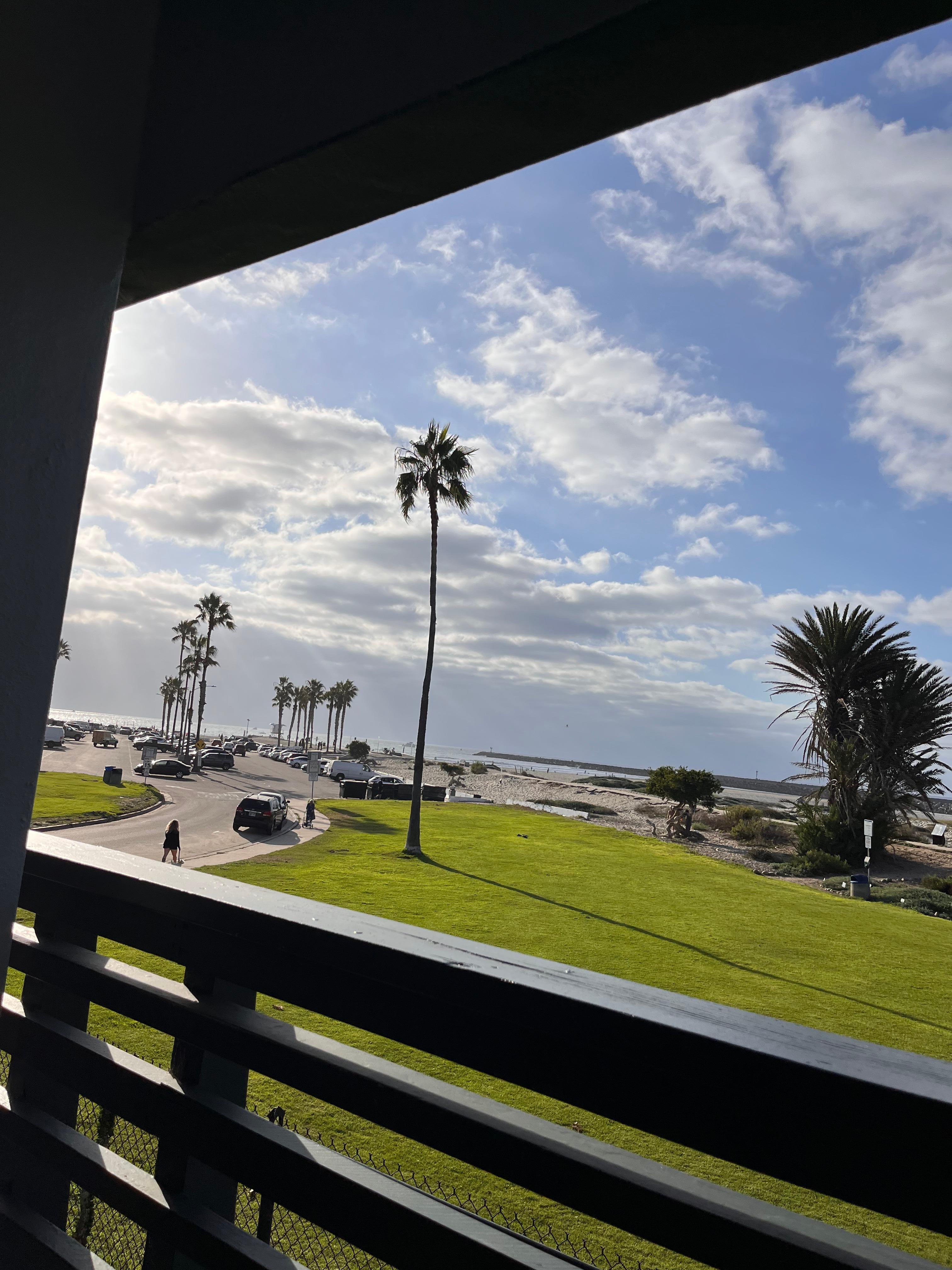View from the room