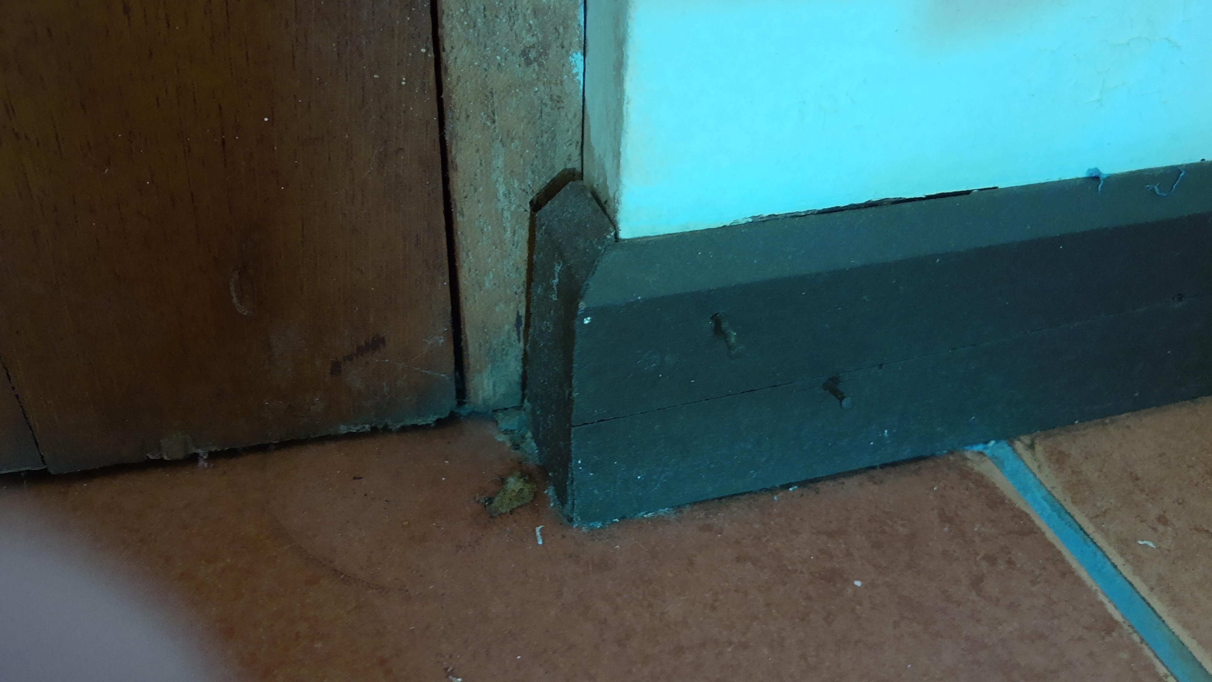 When we checked into the room there was dirt in the corners and nails sticking out of the baseboards