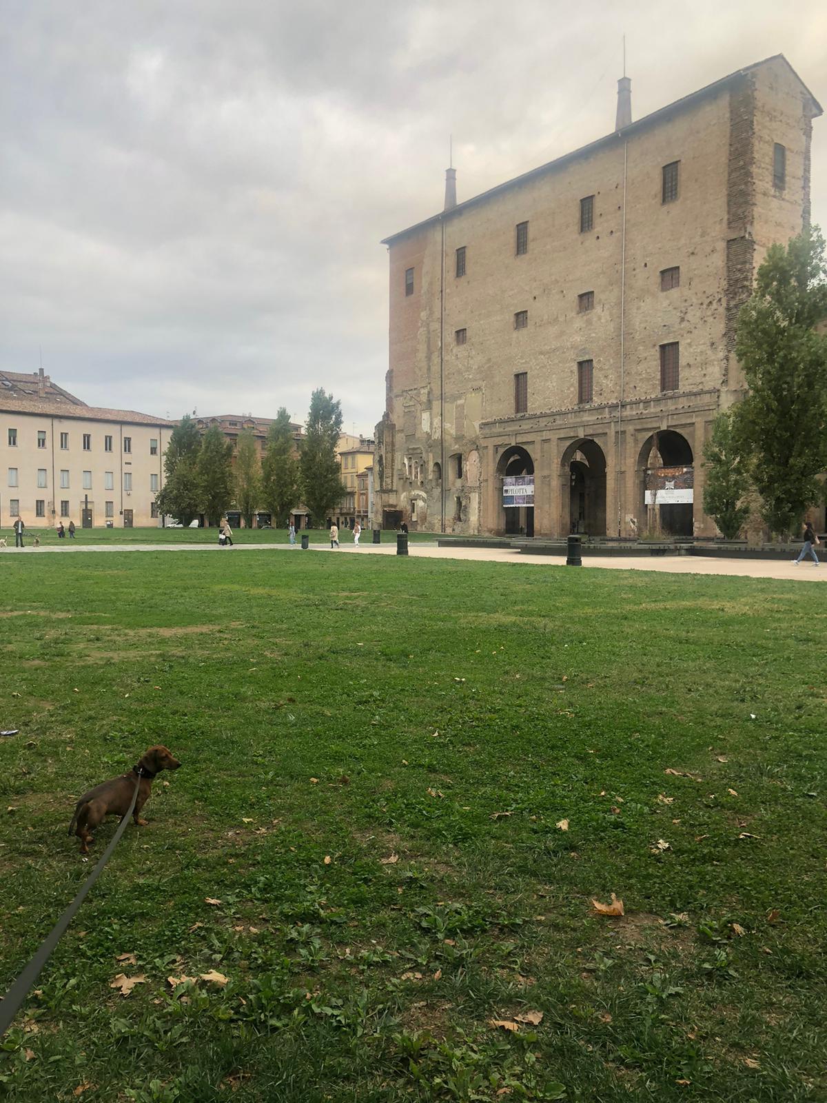 Piazzale della Pace