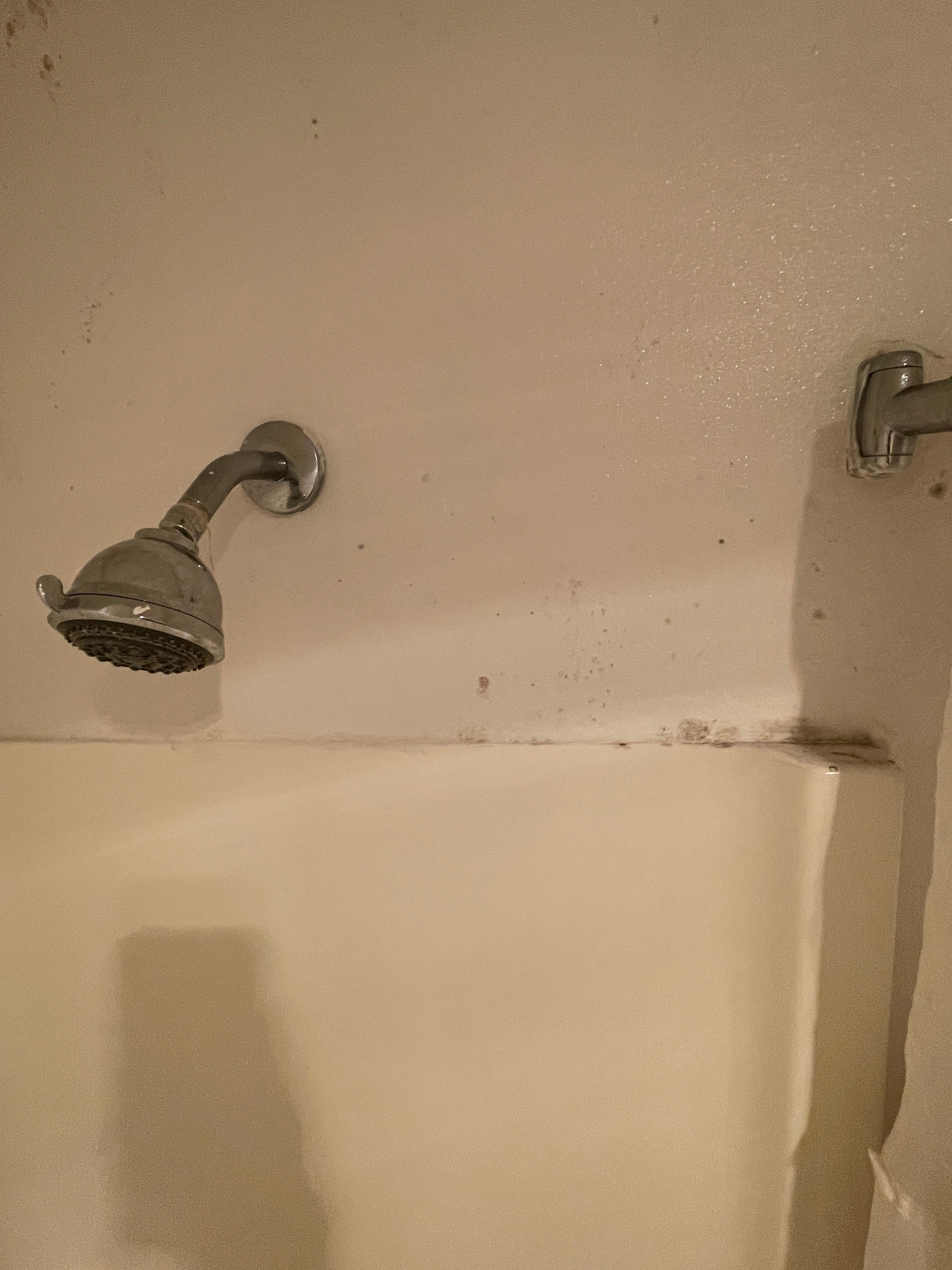 Dirty shower walls