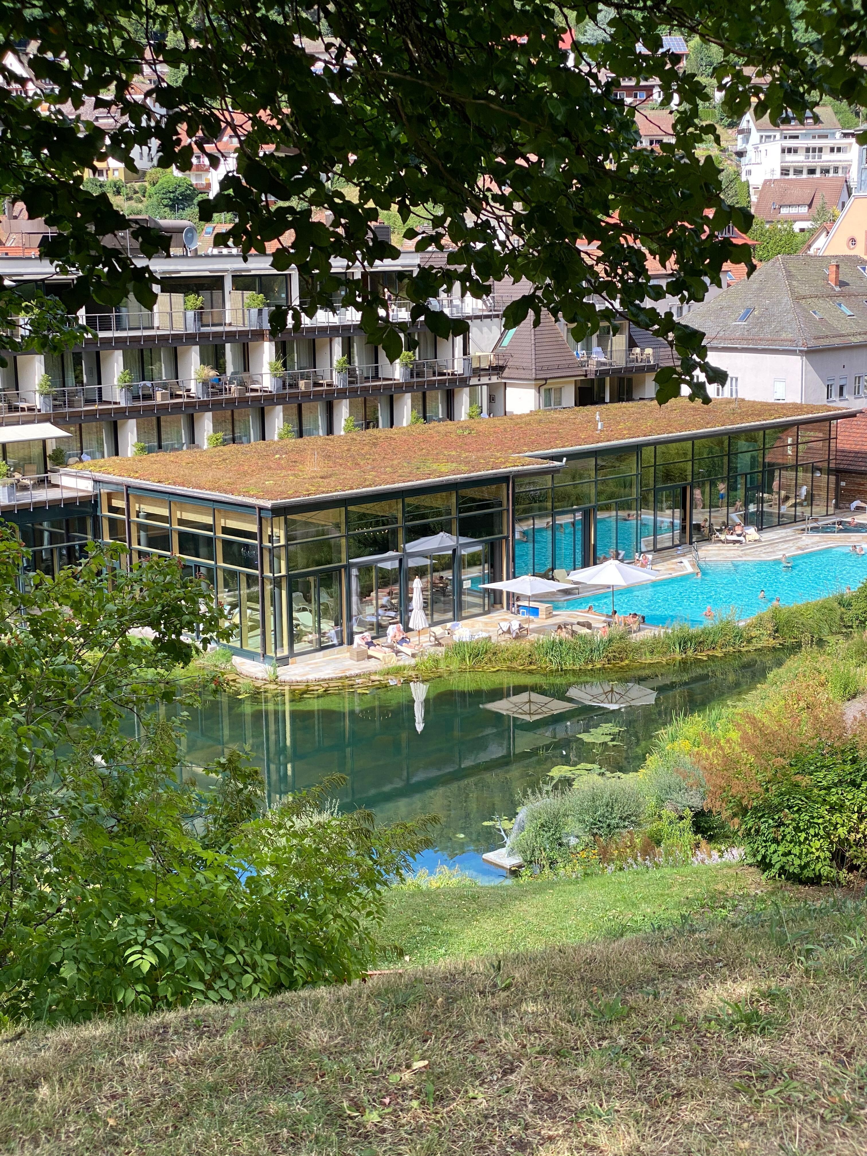 Hotellet fra skoven