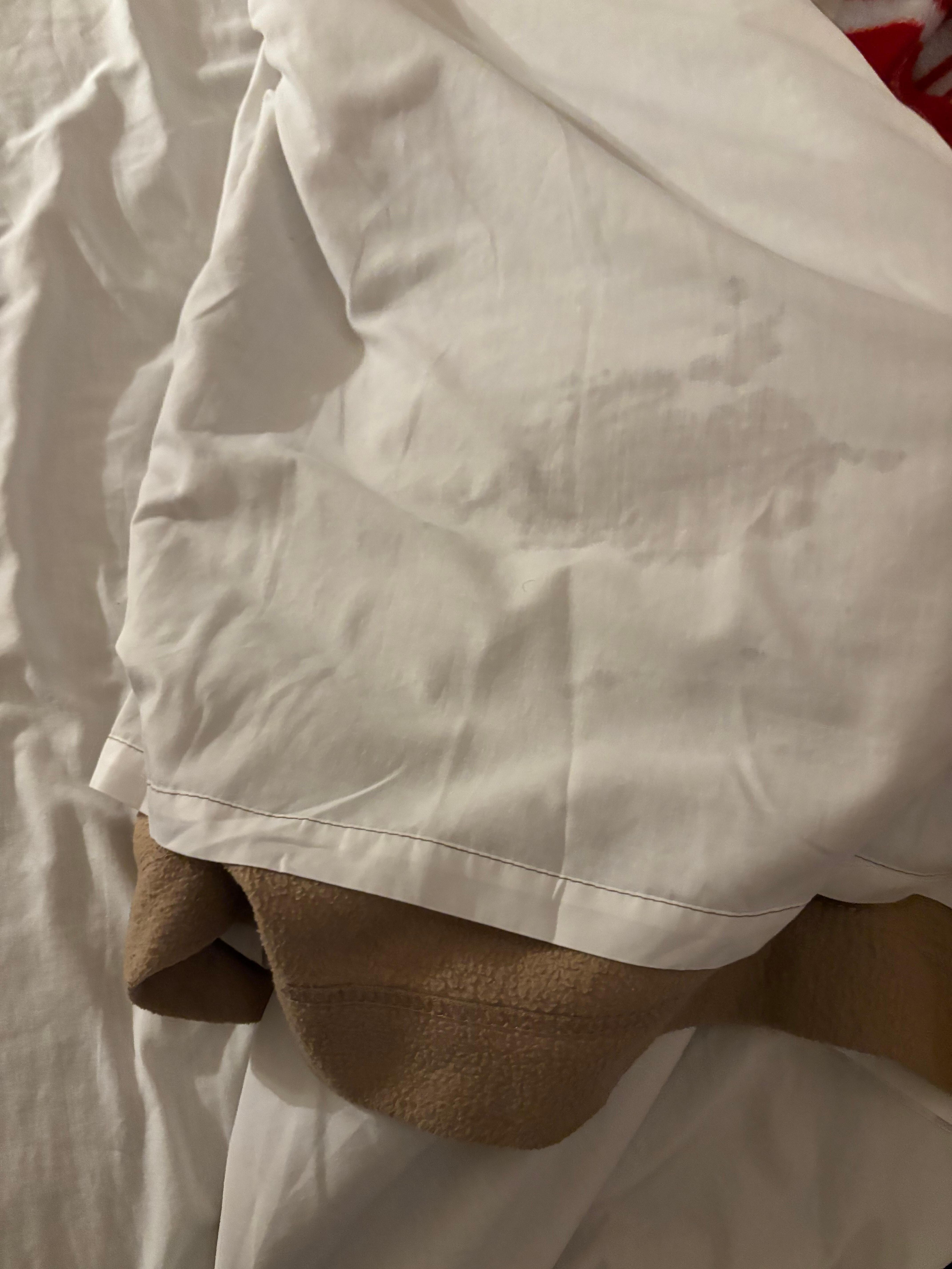 comforter sheet