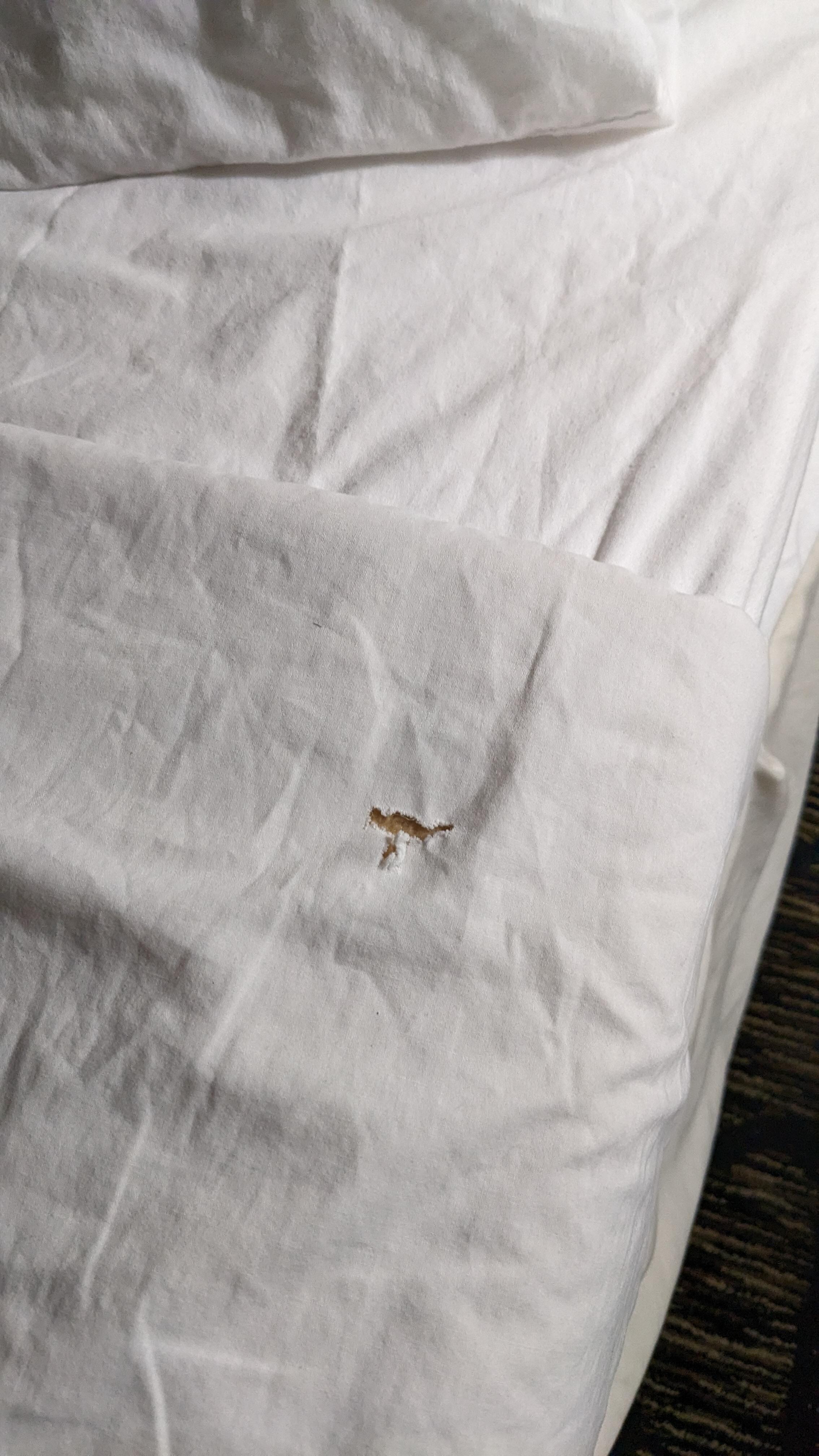 holes in the bed sheets