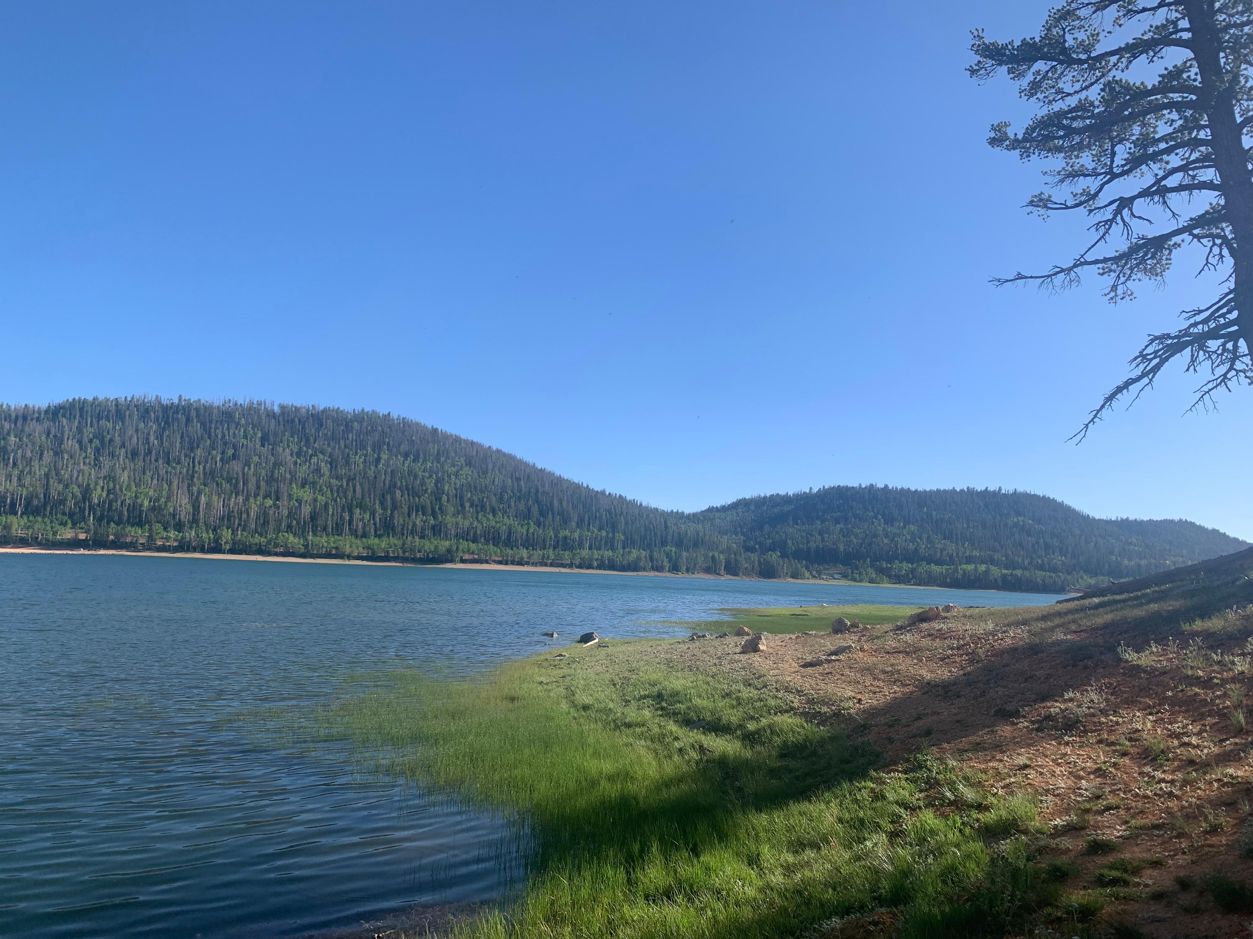 Navajo Lake