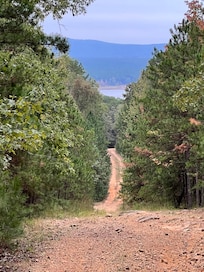 Our view from one of the riding trails.