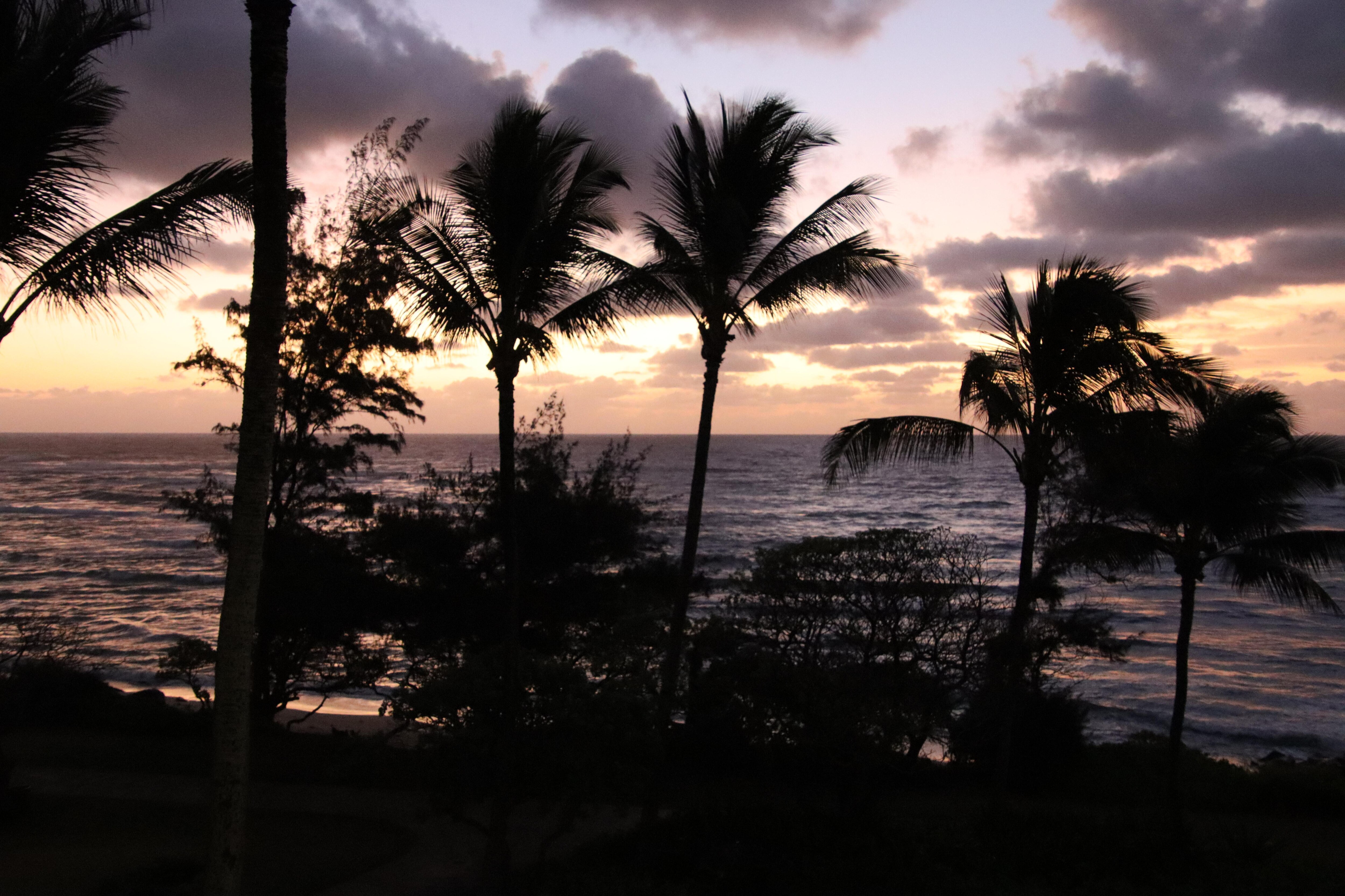 View from the balcony.