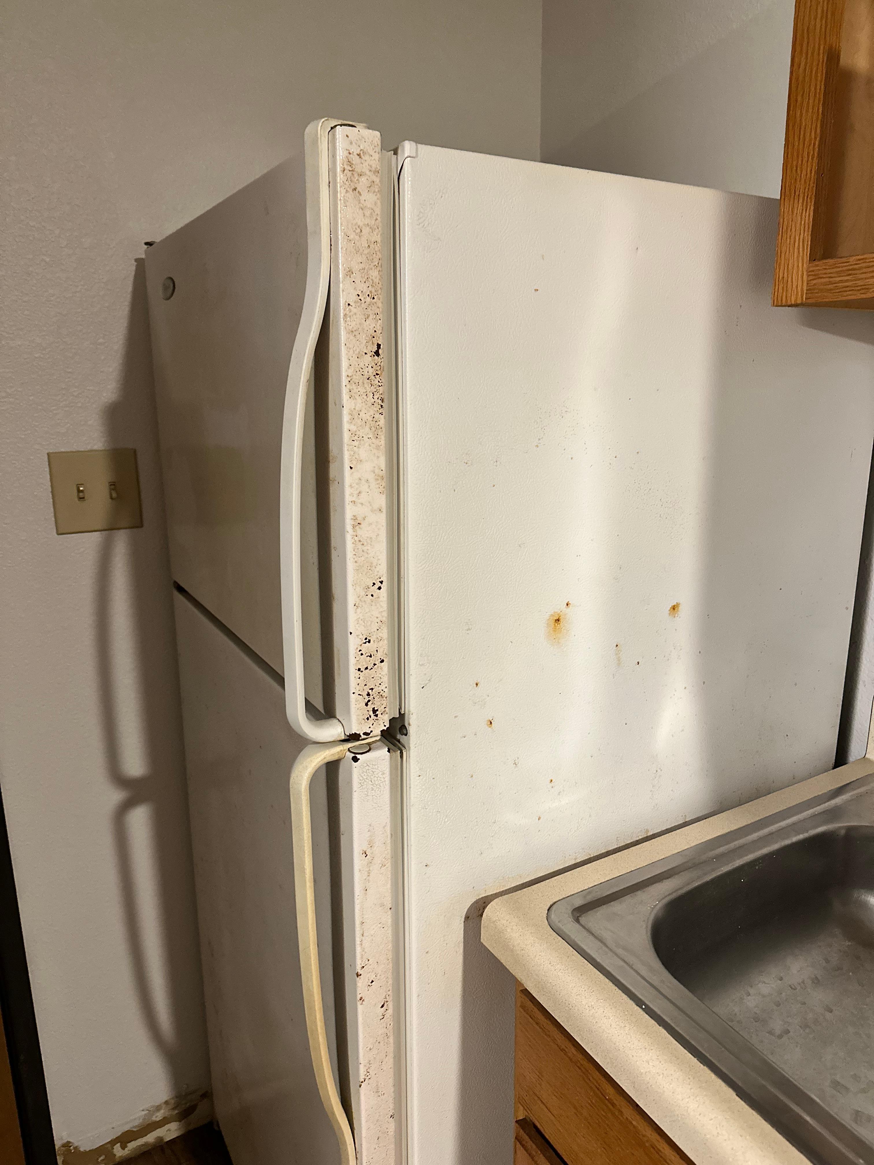 Rust covered filthy refrigerator 