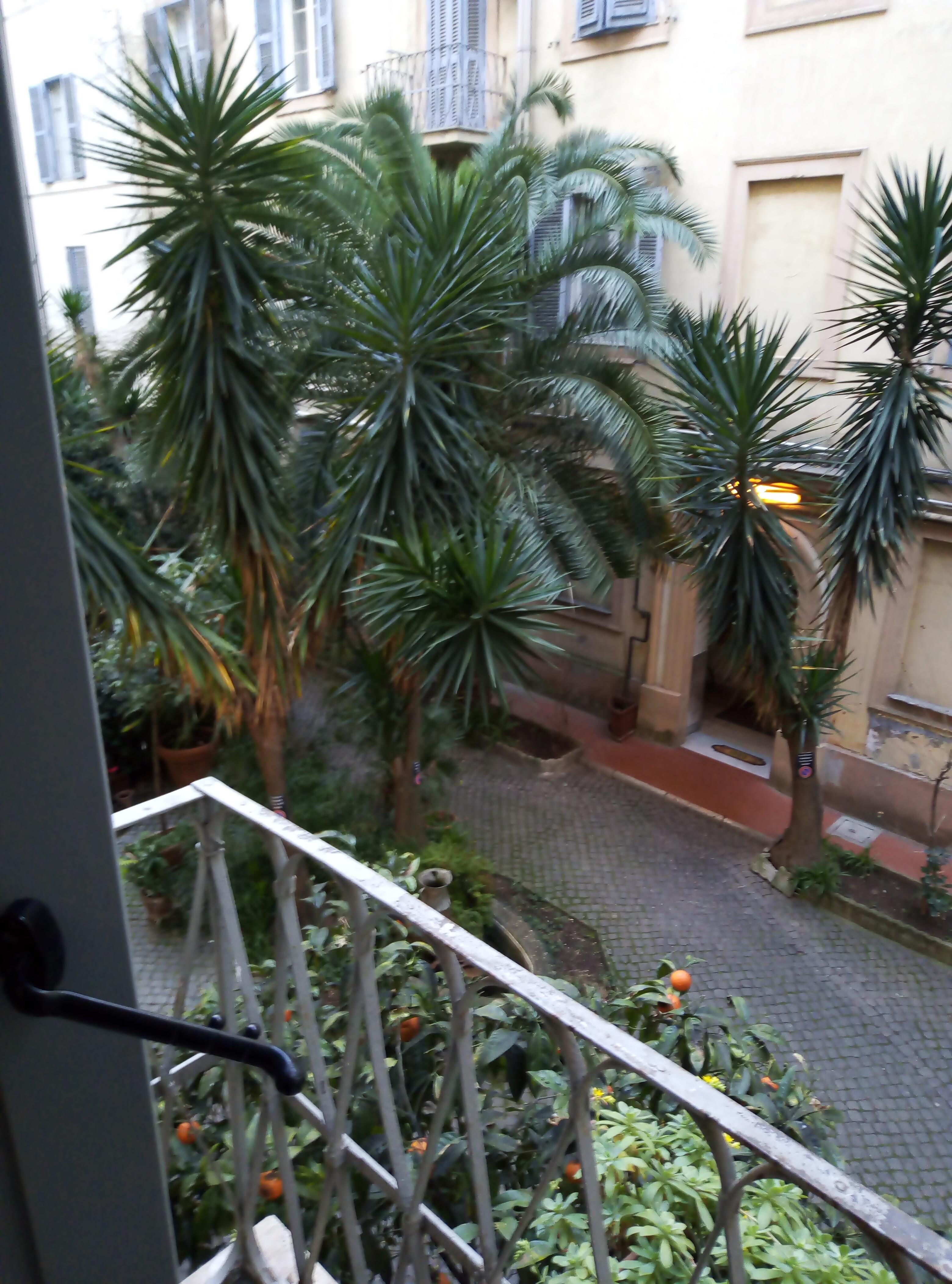 Вид из окна