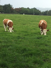 This is the view from the window!!