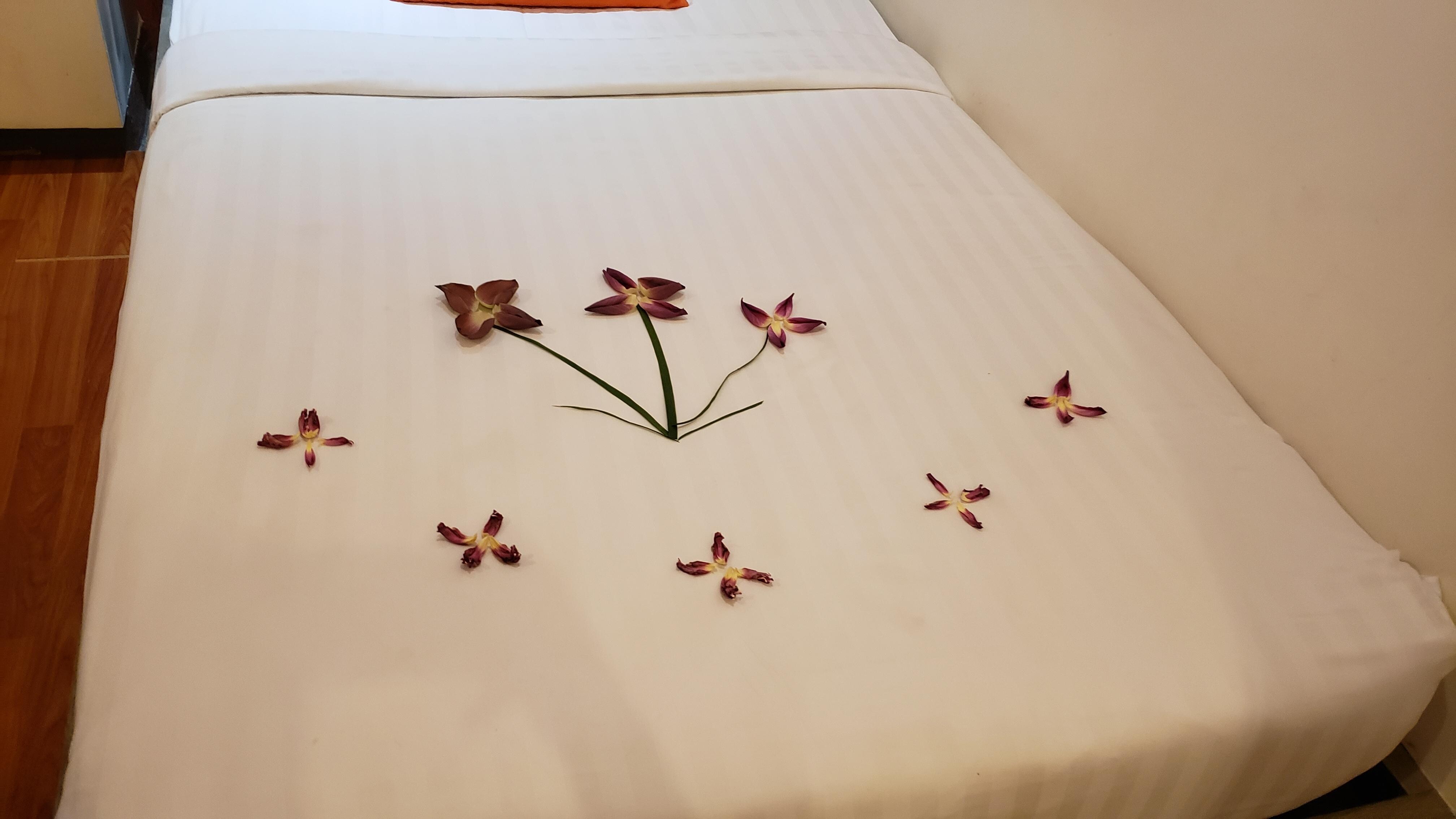 Welcome bed