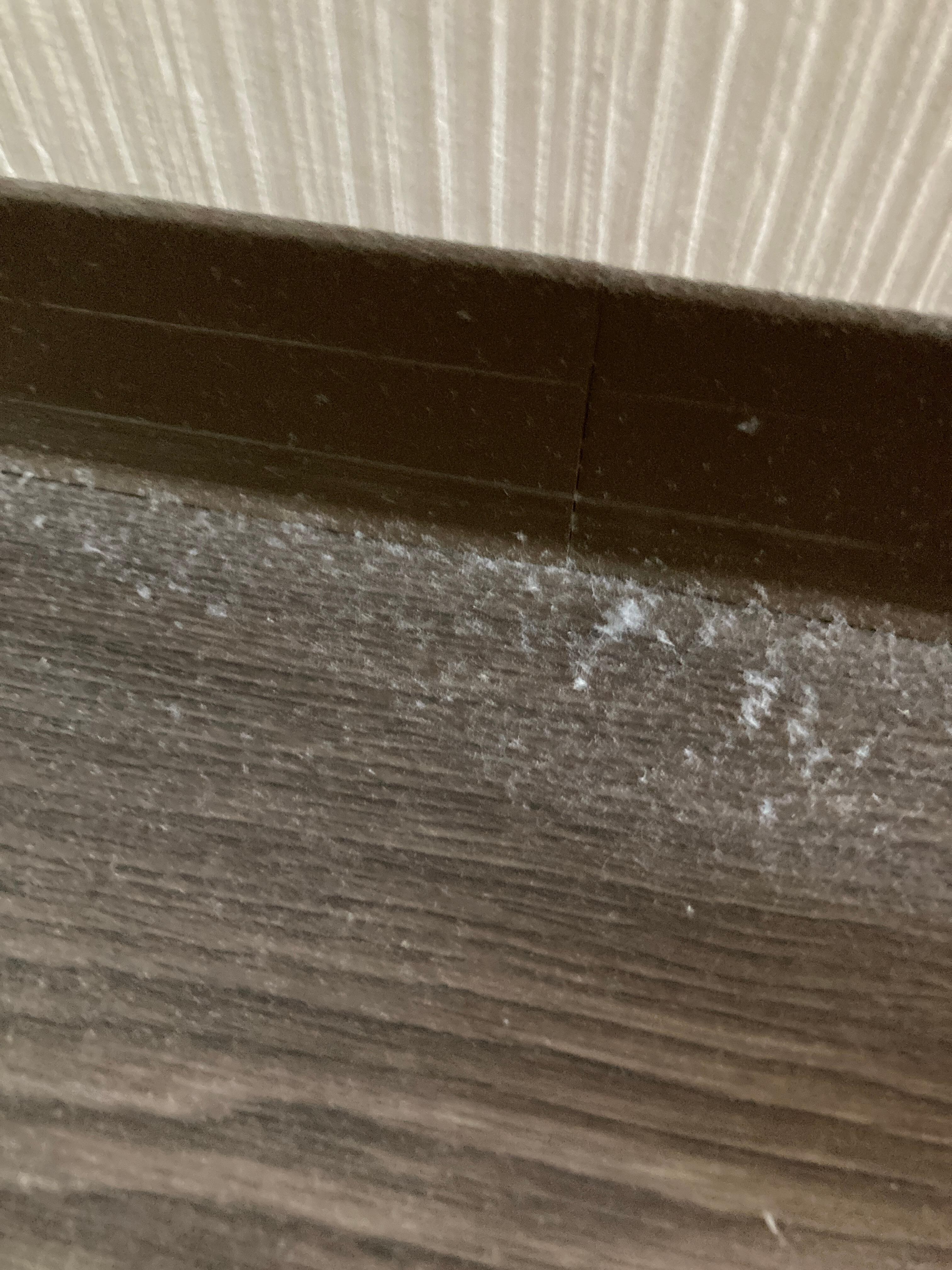 Dust
