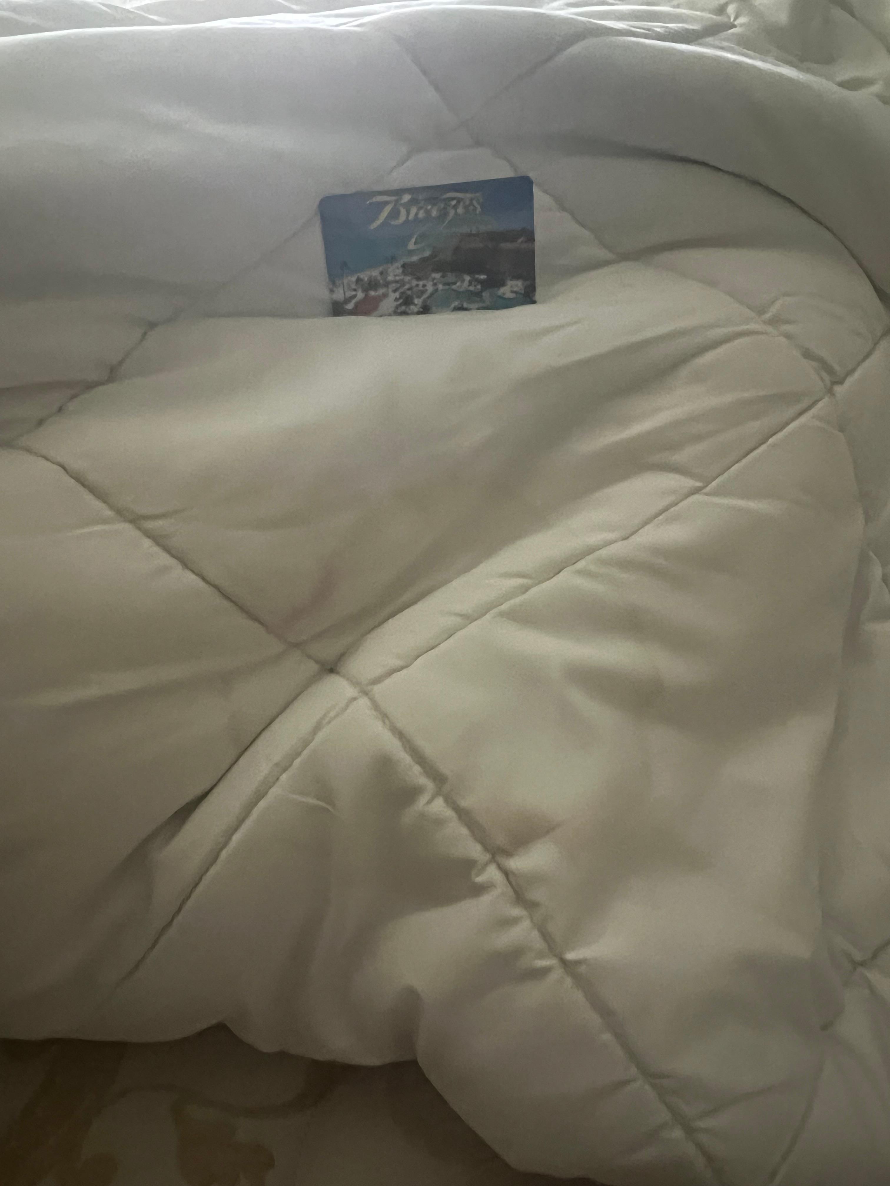 Soiled mattress pad (noticed on last day)