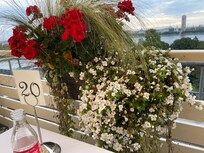 Bloemen op dakterras