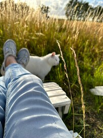 Sehr gemütliche und ruhige Anlage und die Katze ist sehr kuschelig und süß 🥰
