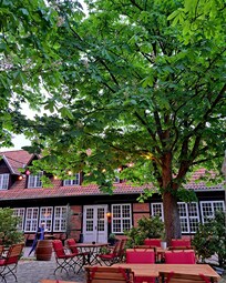 God mat & drikke servert i hagen.