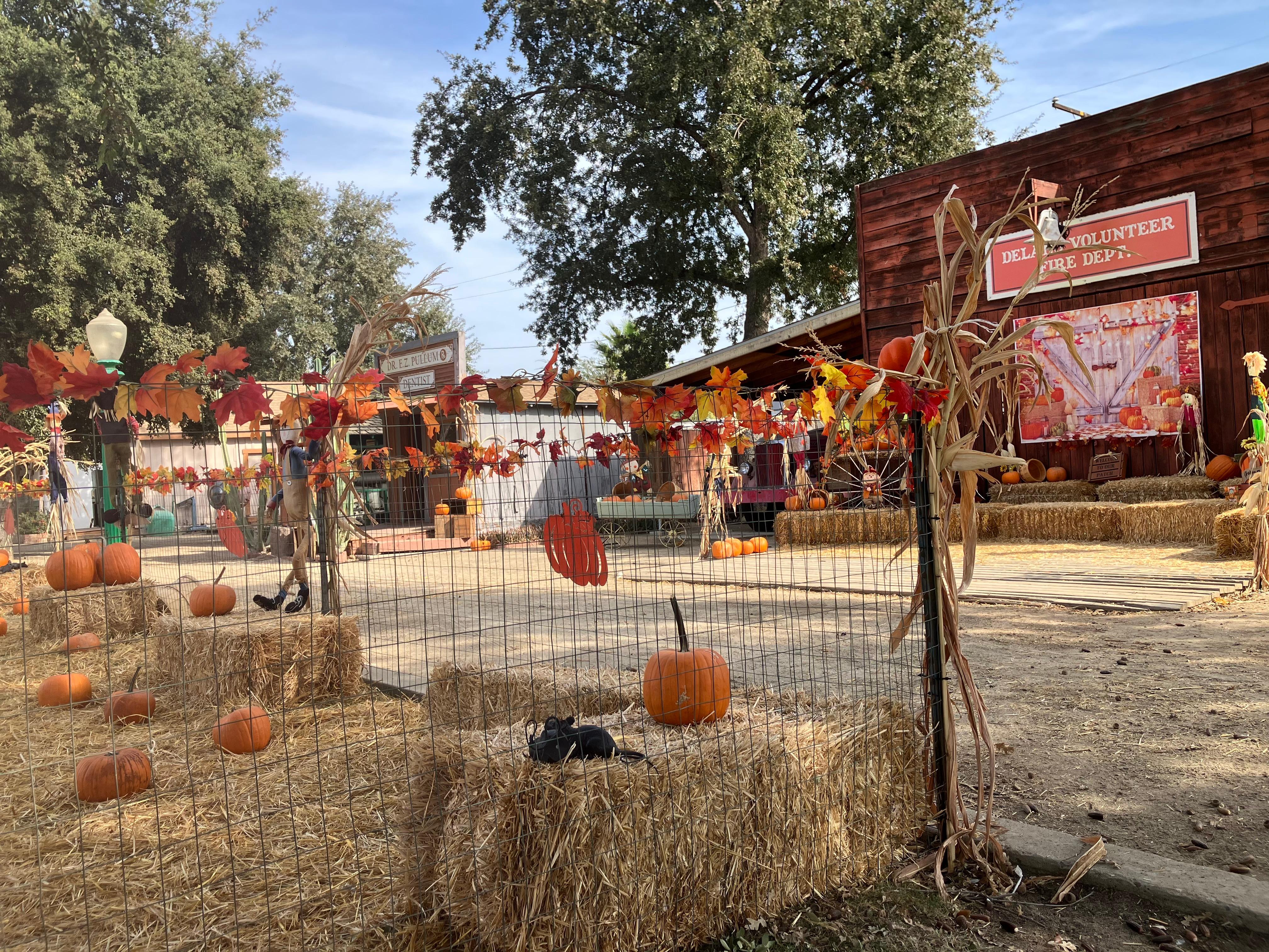 Fall happenings at Heritage Park