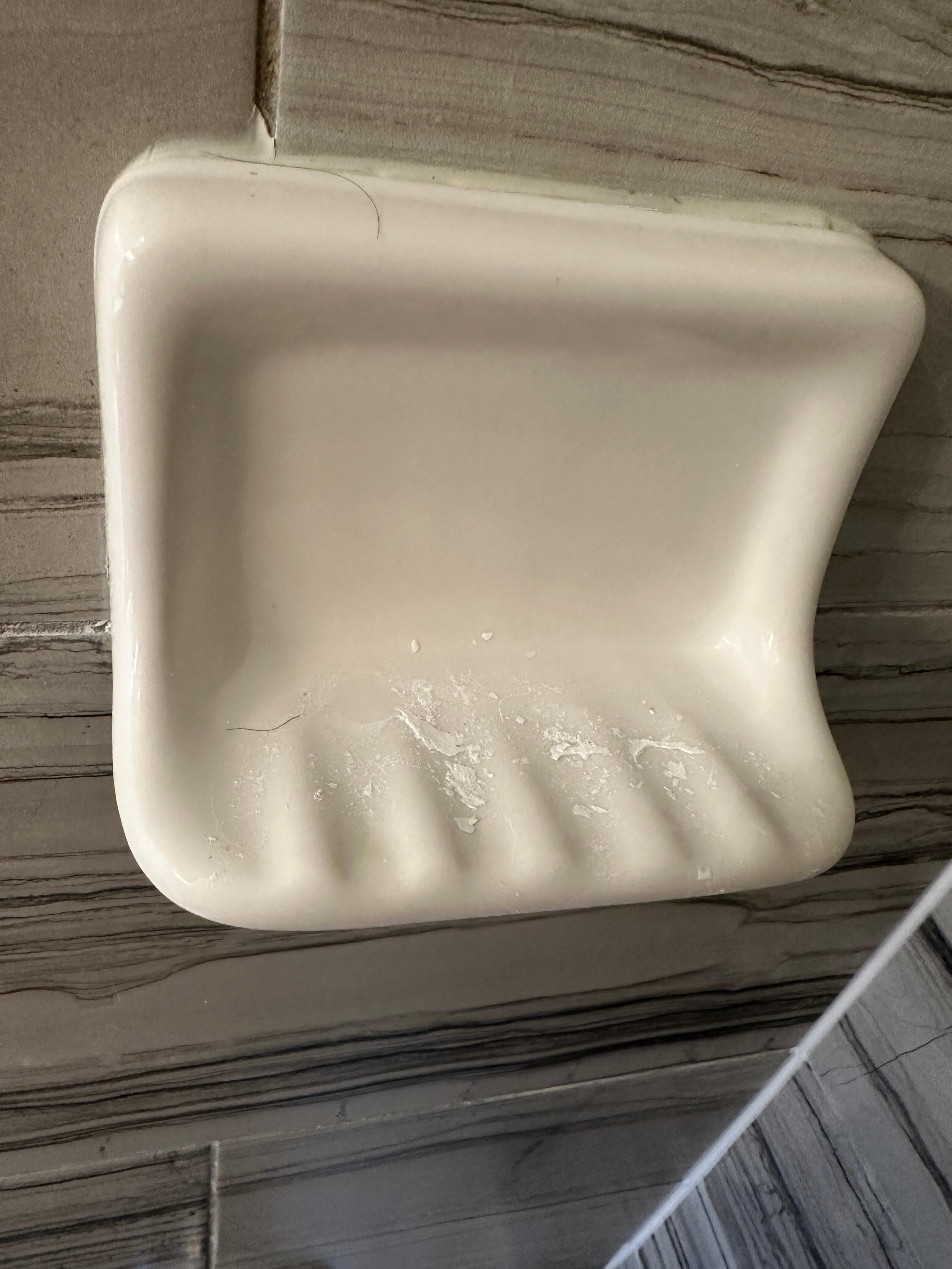 Soap and hair in the soap holder