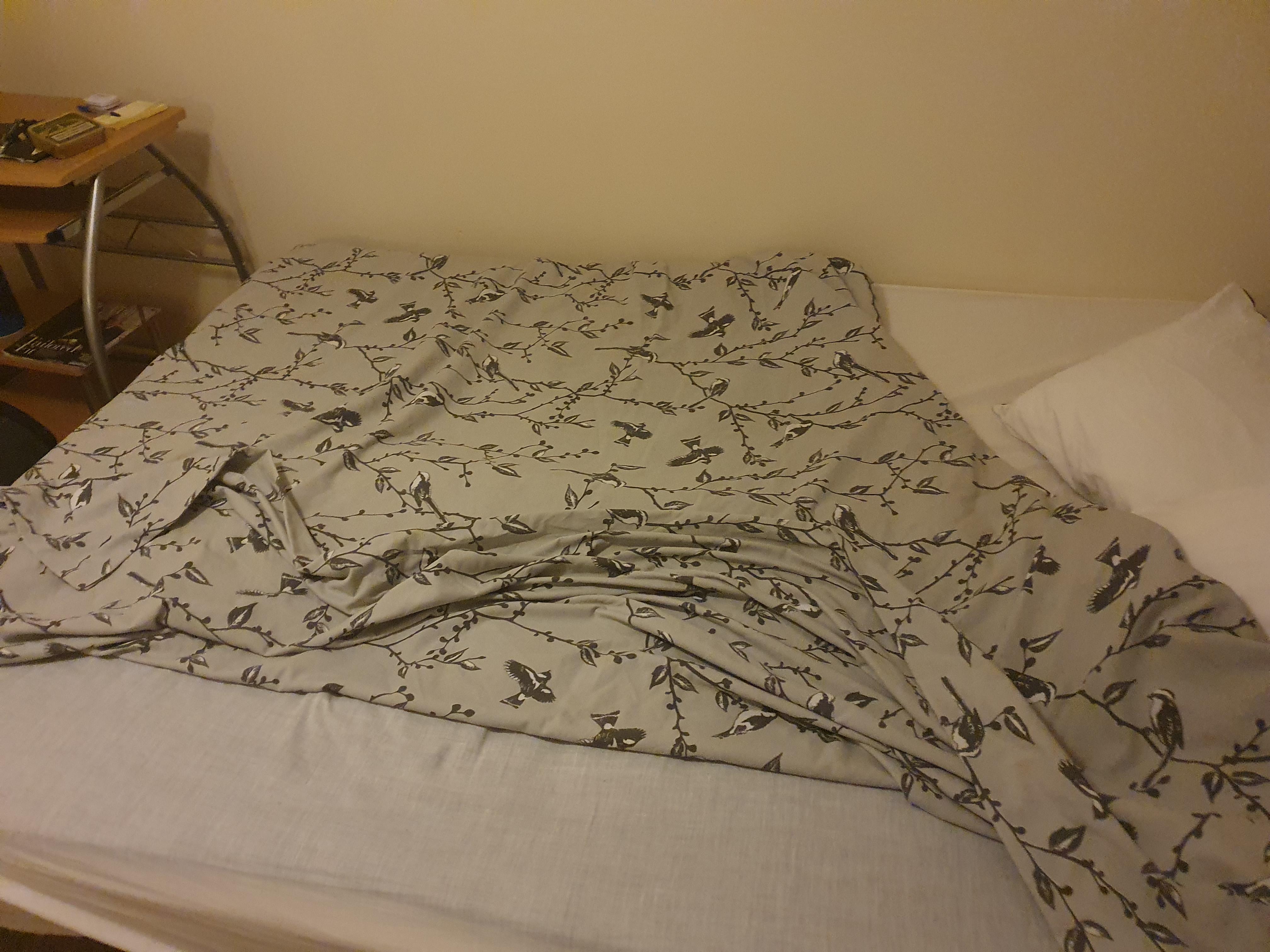 This is the double room not what is shown also you dont get a quilt thats legged it just leaving the cover behind had to buy two quilts to sleep on as the mattress was awfull