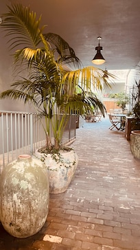 Interior garden