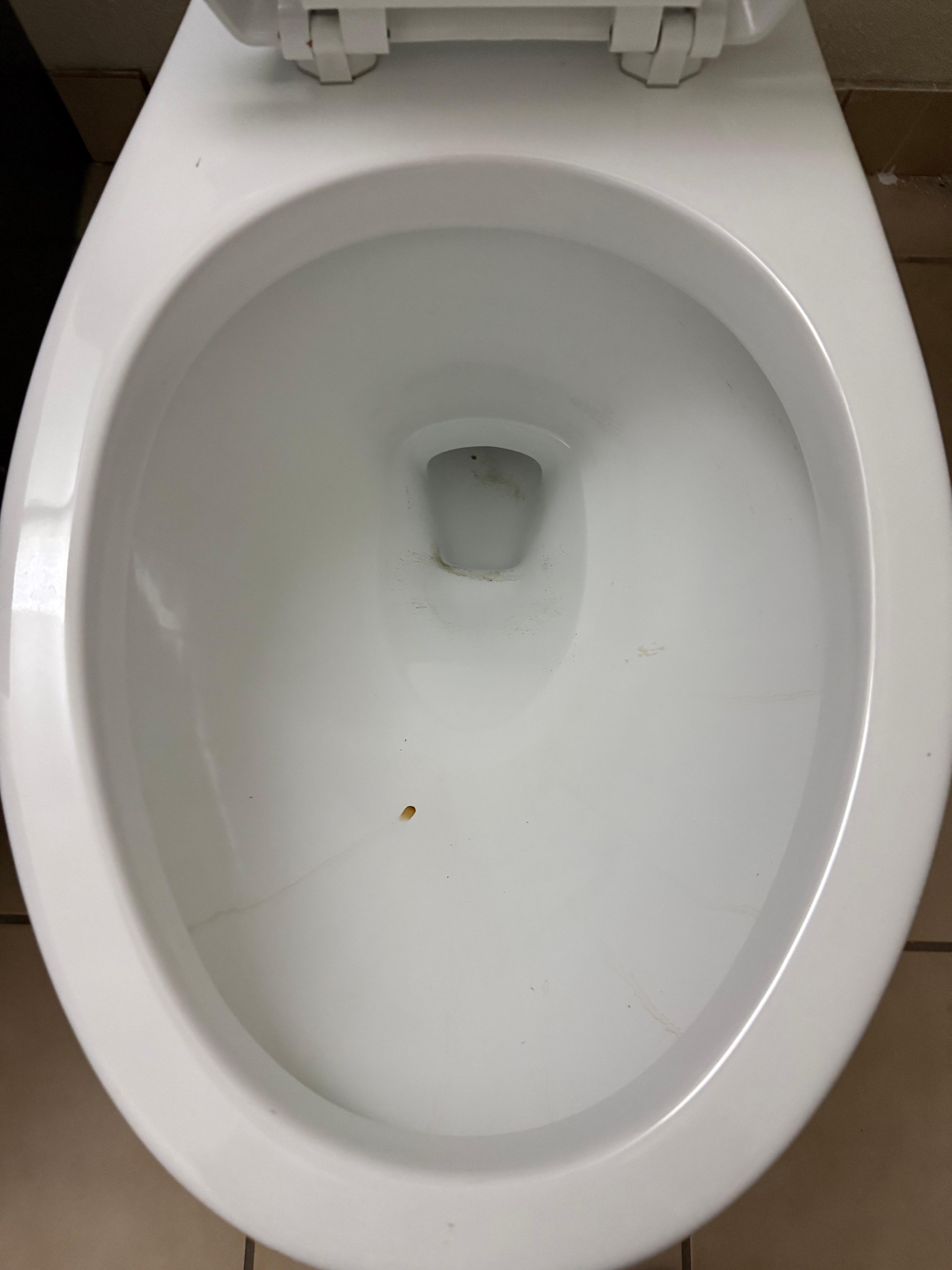 Dirty toilet